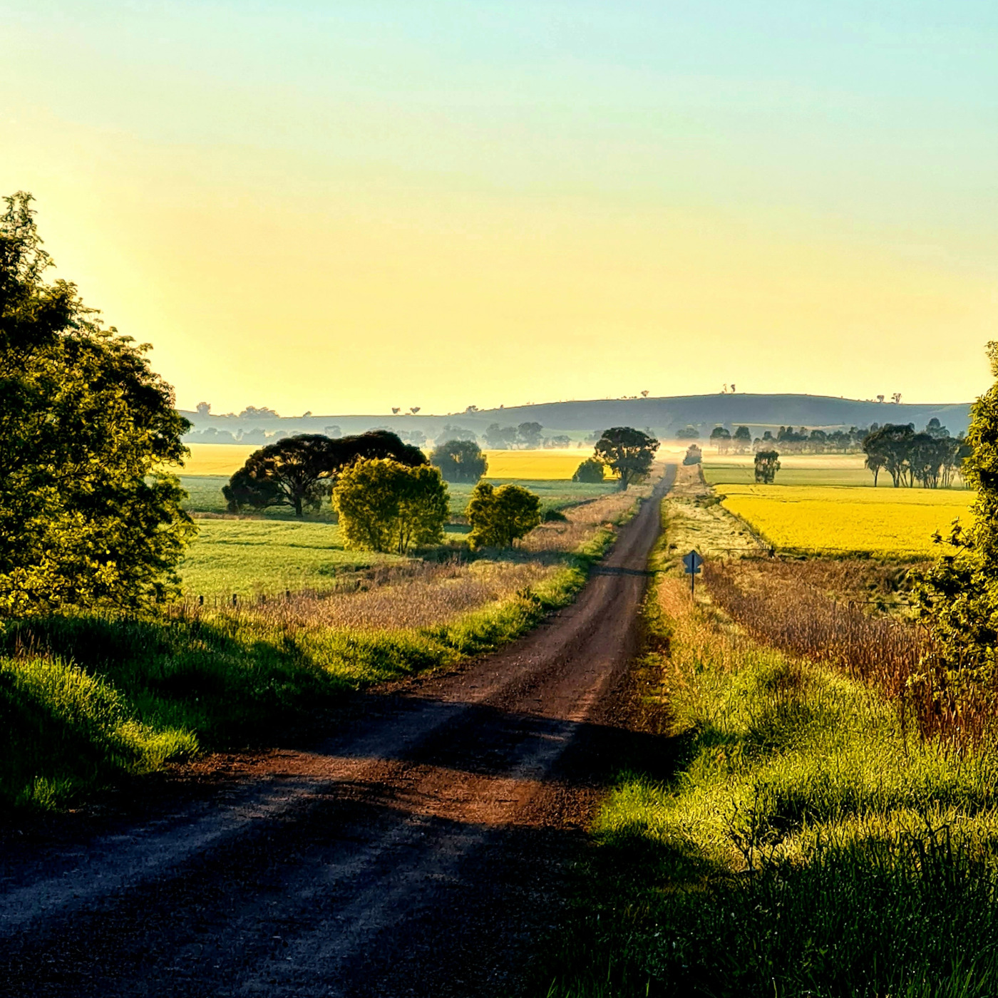 Car wheels on a gravel road #40 by Tiff