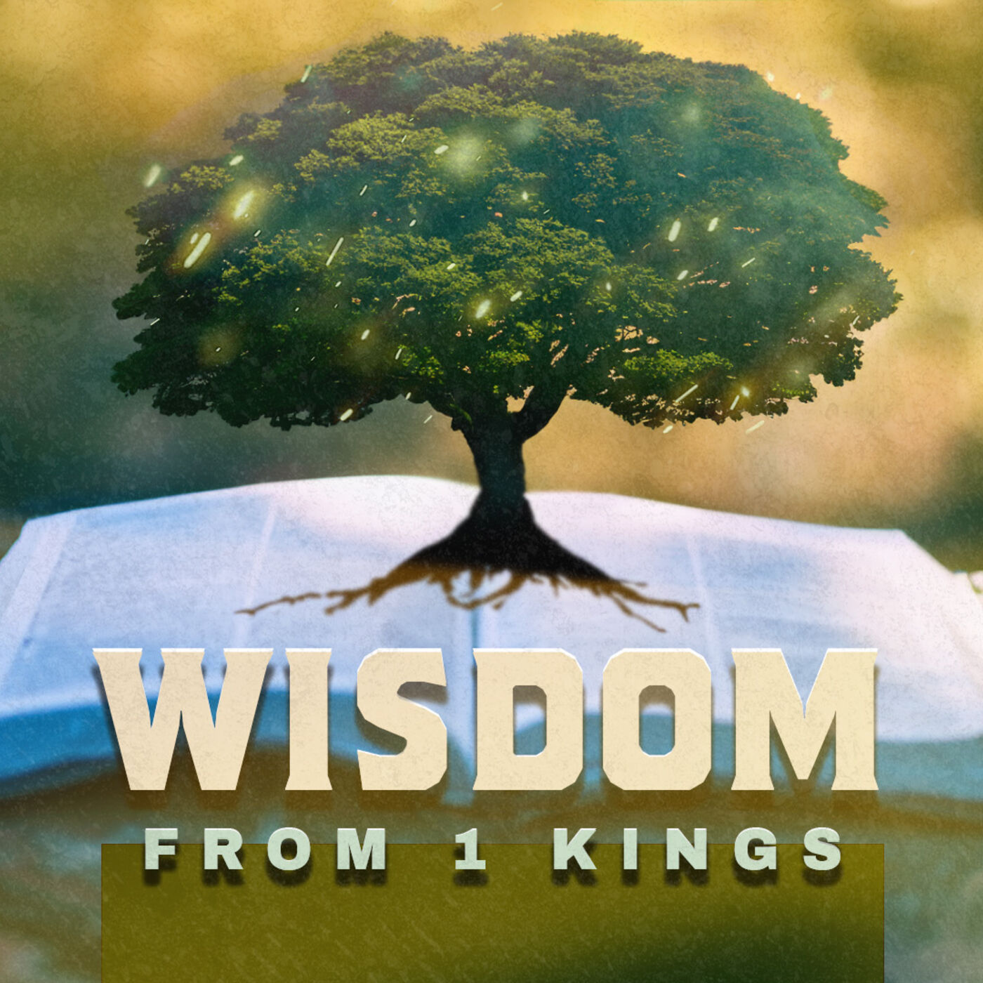 August 6, 2023 | Wisdom from 1 Kings: Life is Easier with the Wisdom of God | 1 Kings 3:1-15