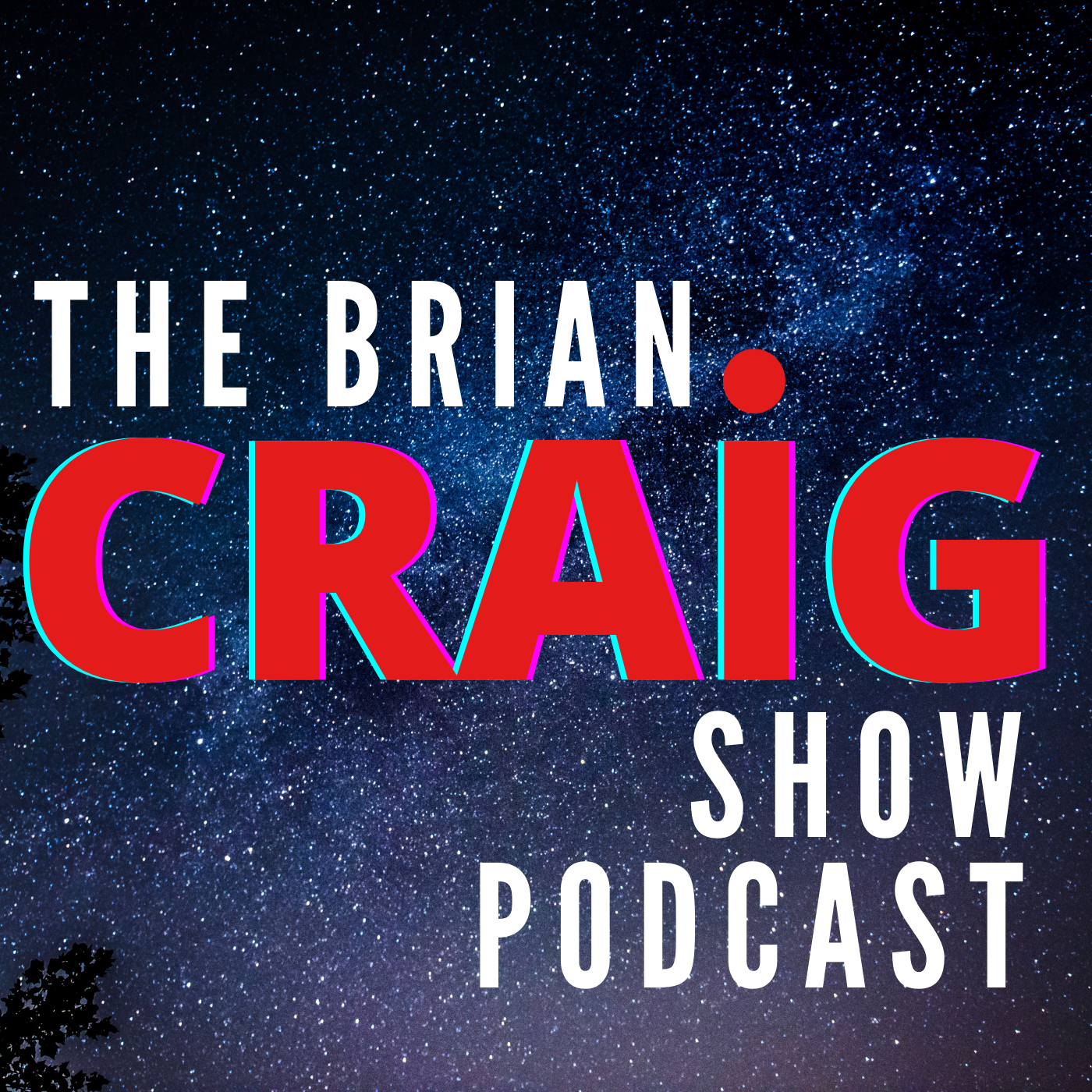 The Brian Craig Show 