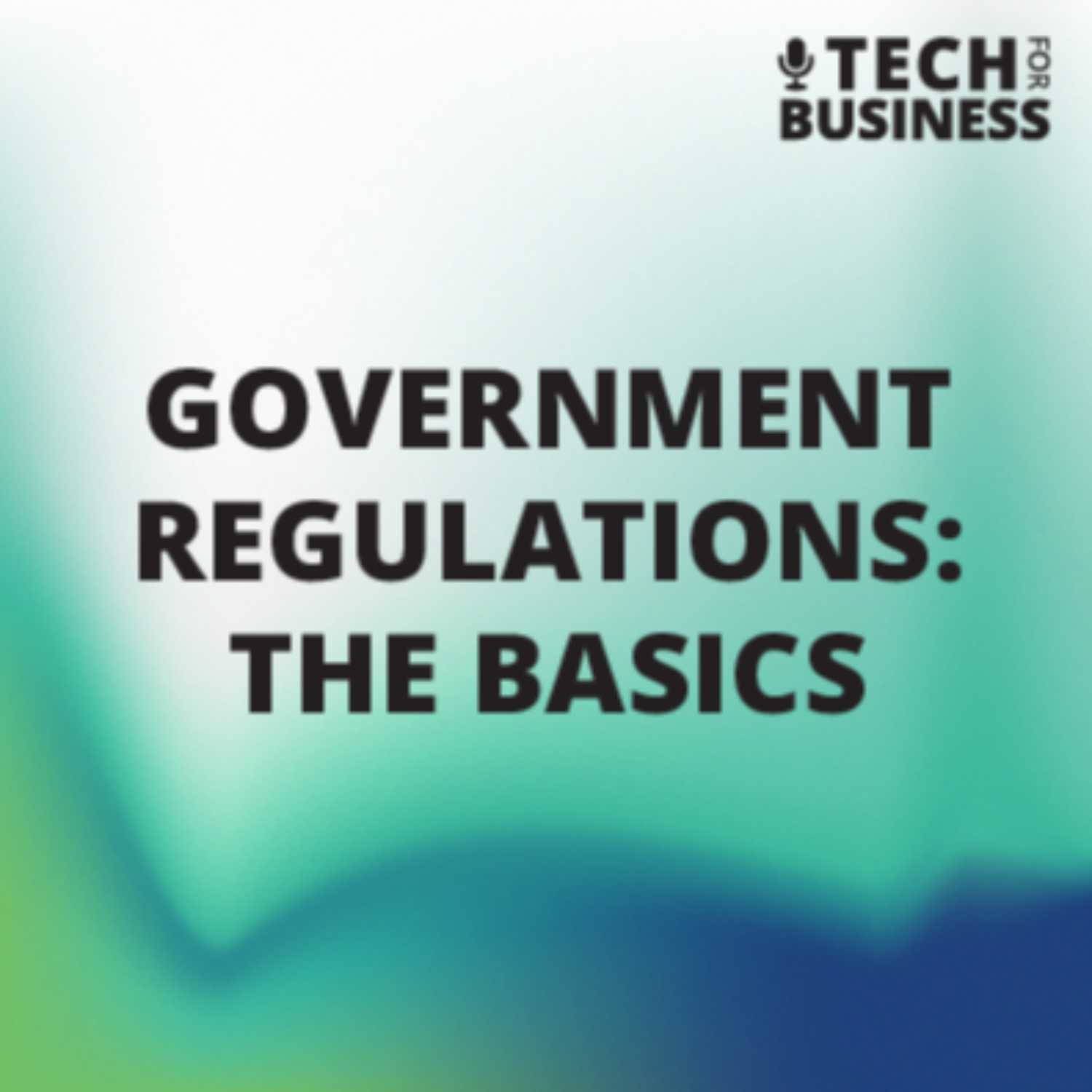 Government Regulations: The Basics