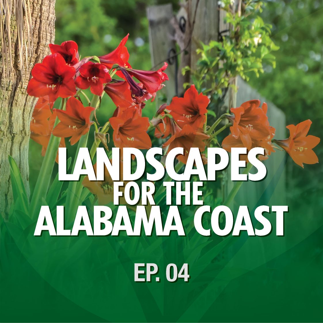 Season 1 Episode 4 – Landscapes for the Alabama Coast