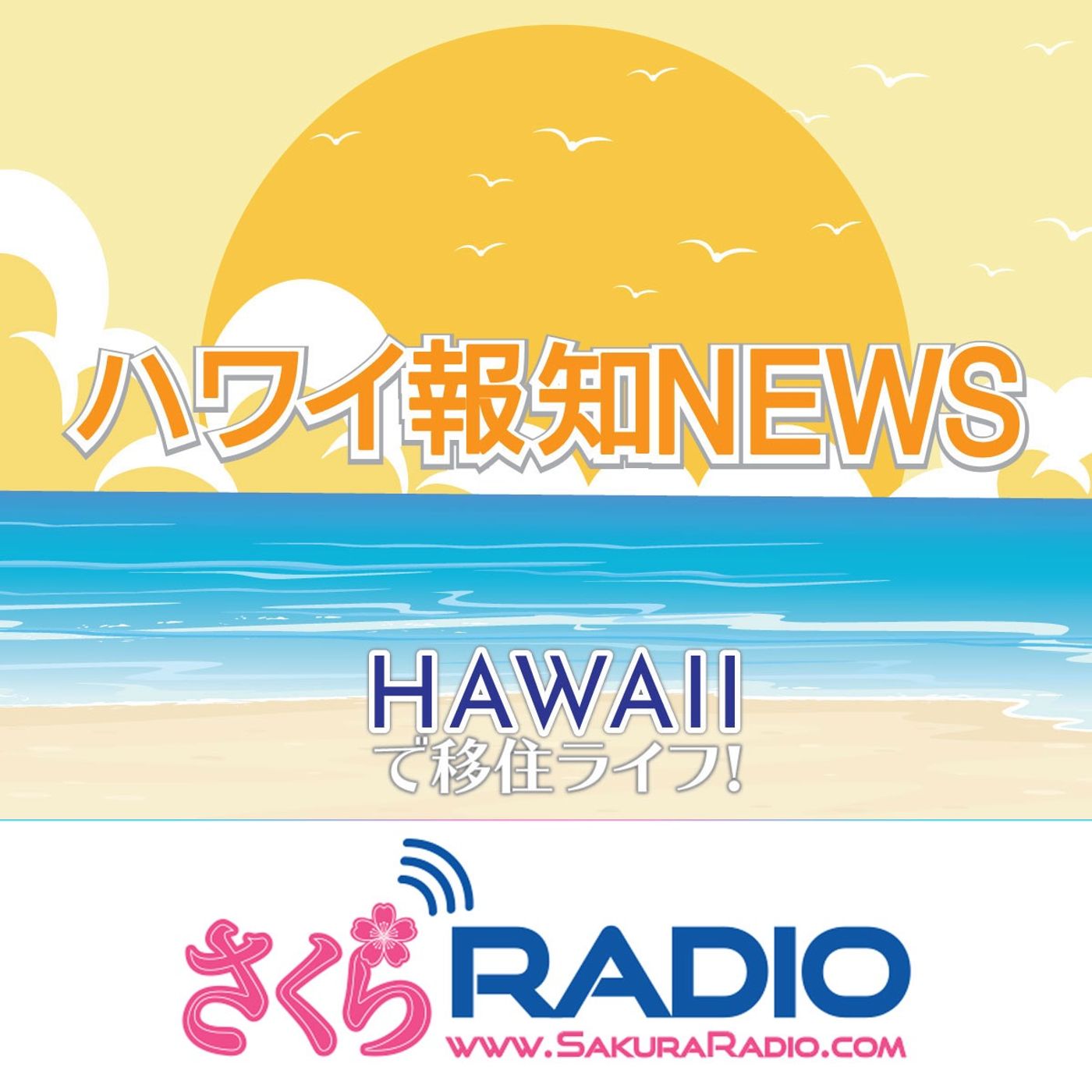 ⁣[ハワイ]ハワイホテル料金全米一・ハワイ日本姉妹都市サミット開催〜EP25「ハワイ報知NEWS」
