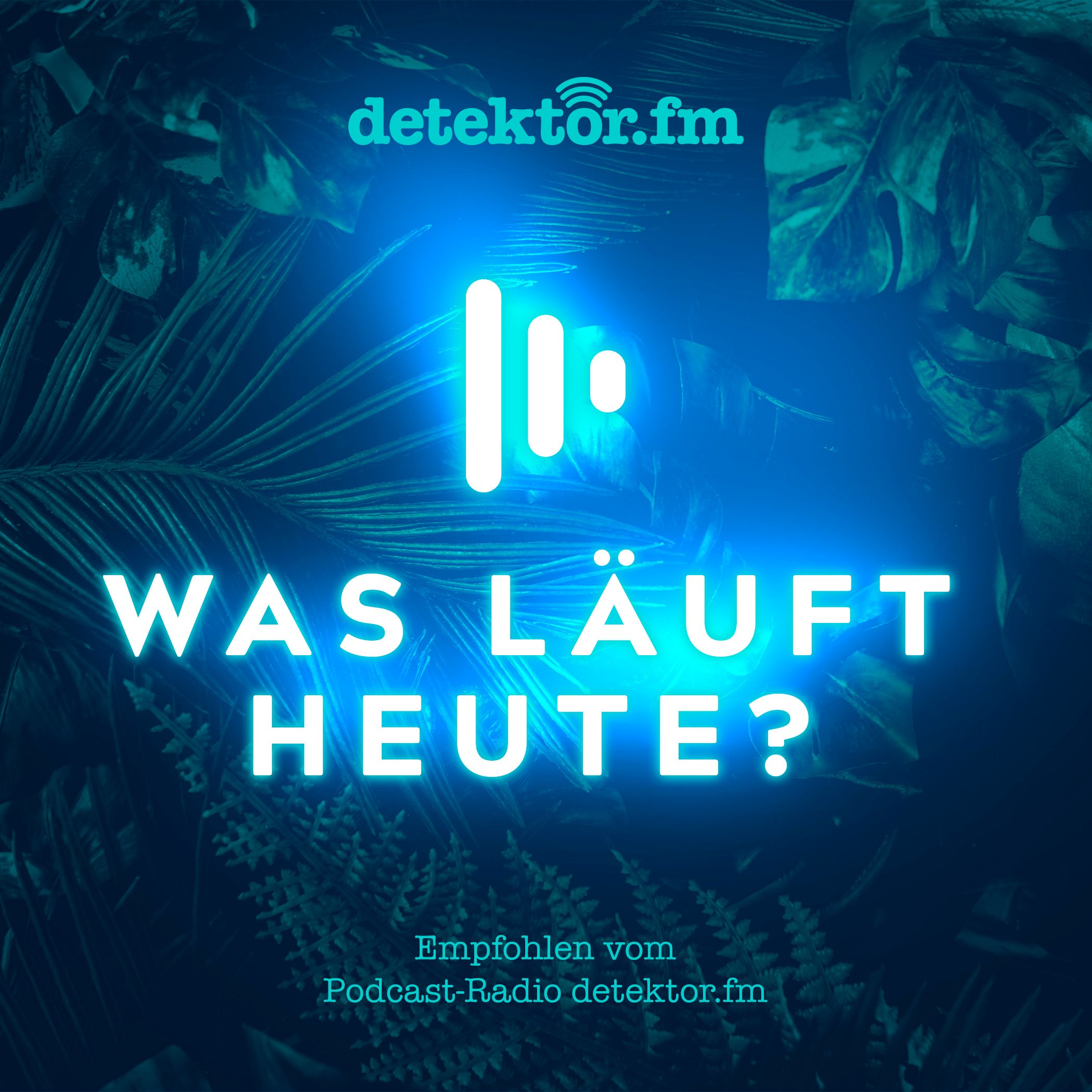 Hacker – Das gestohlene Ich, Mysterious Skin, The Requin