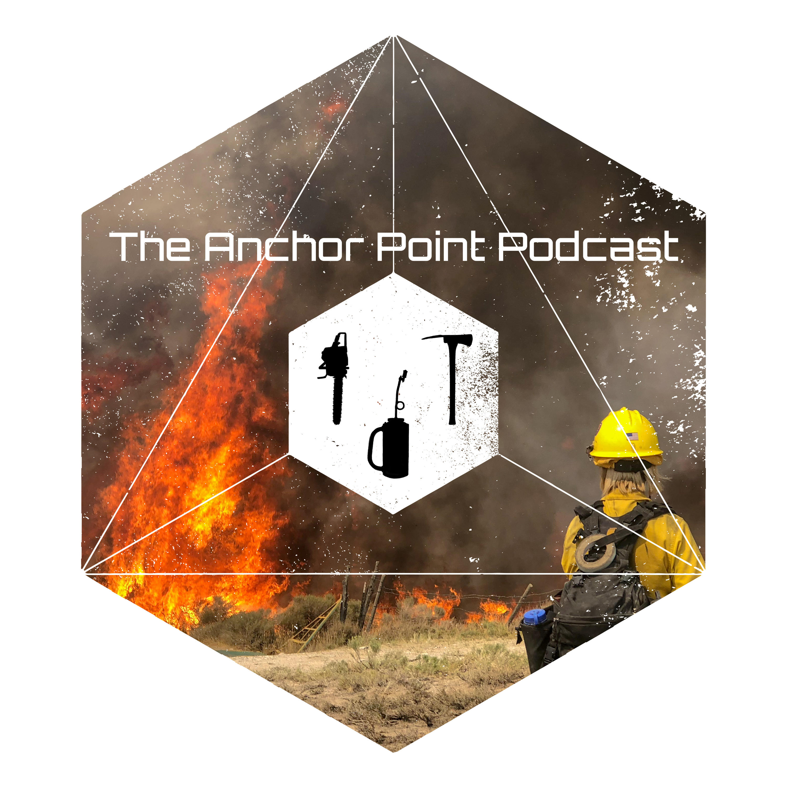 The Anchor Point Podcast 