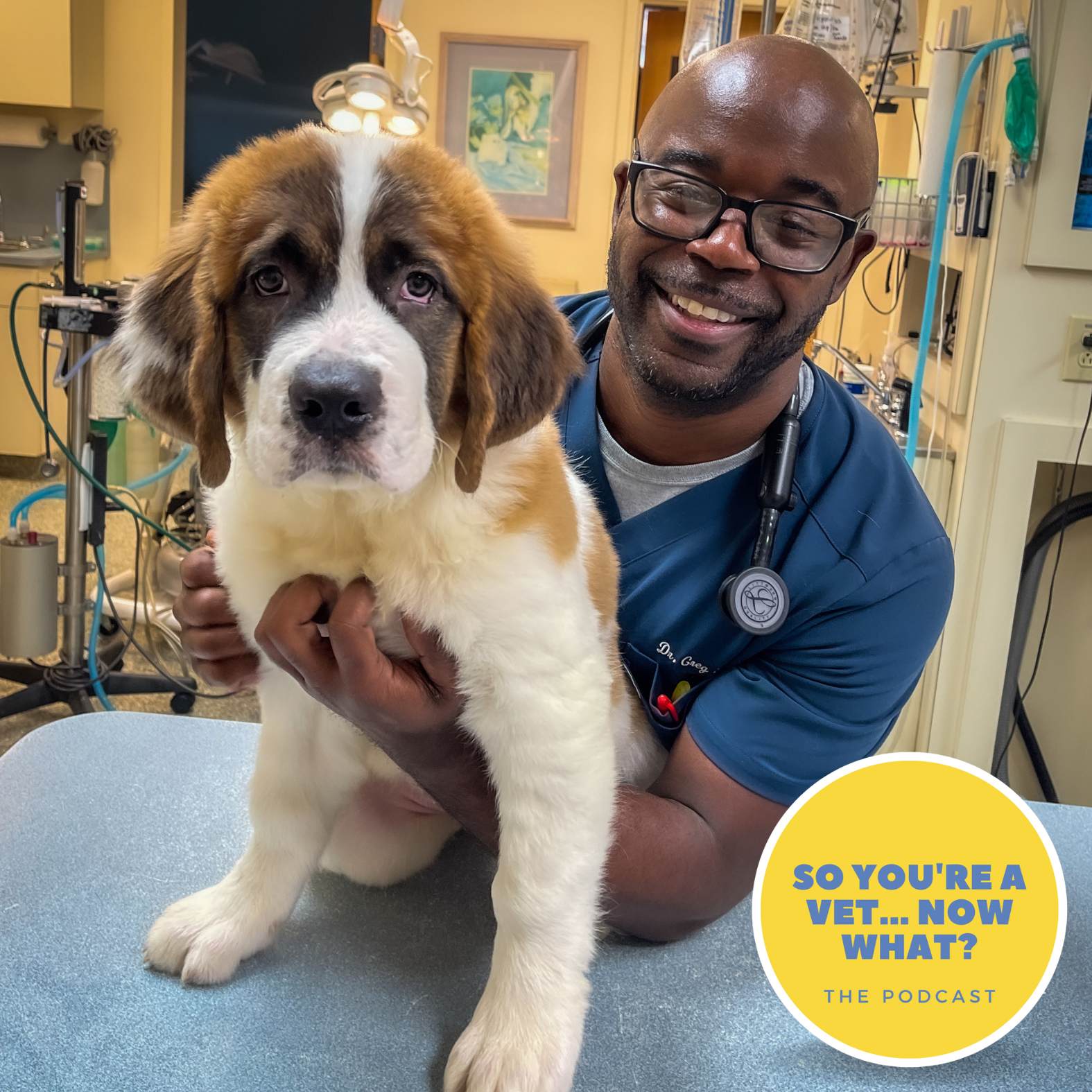 ⁣Ep 179: What is a Relief Veterinarian? With Greg Echols