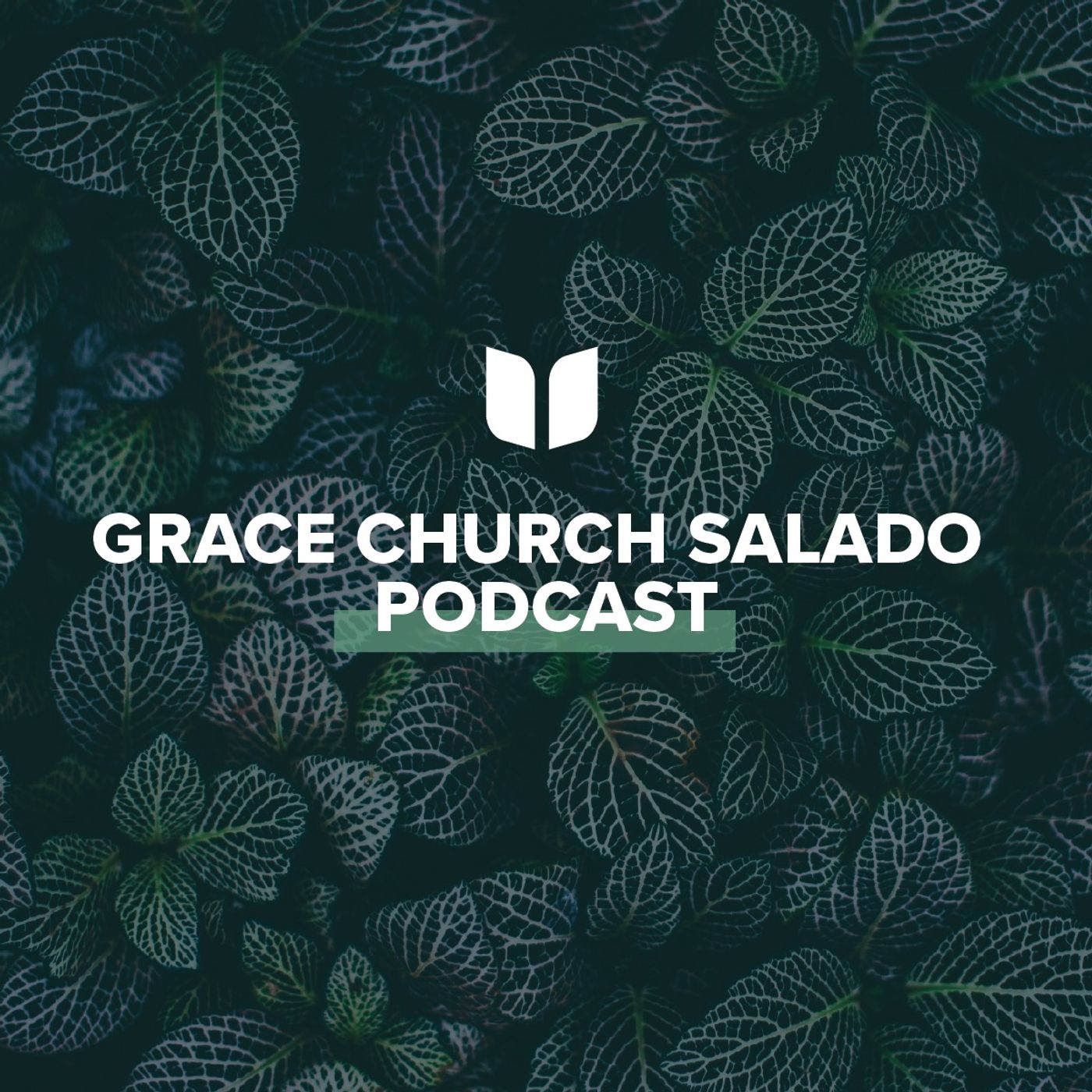 HABITS OF GRACE: Grow in Healthy Church Community