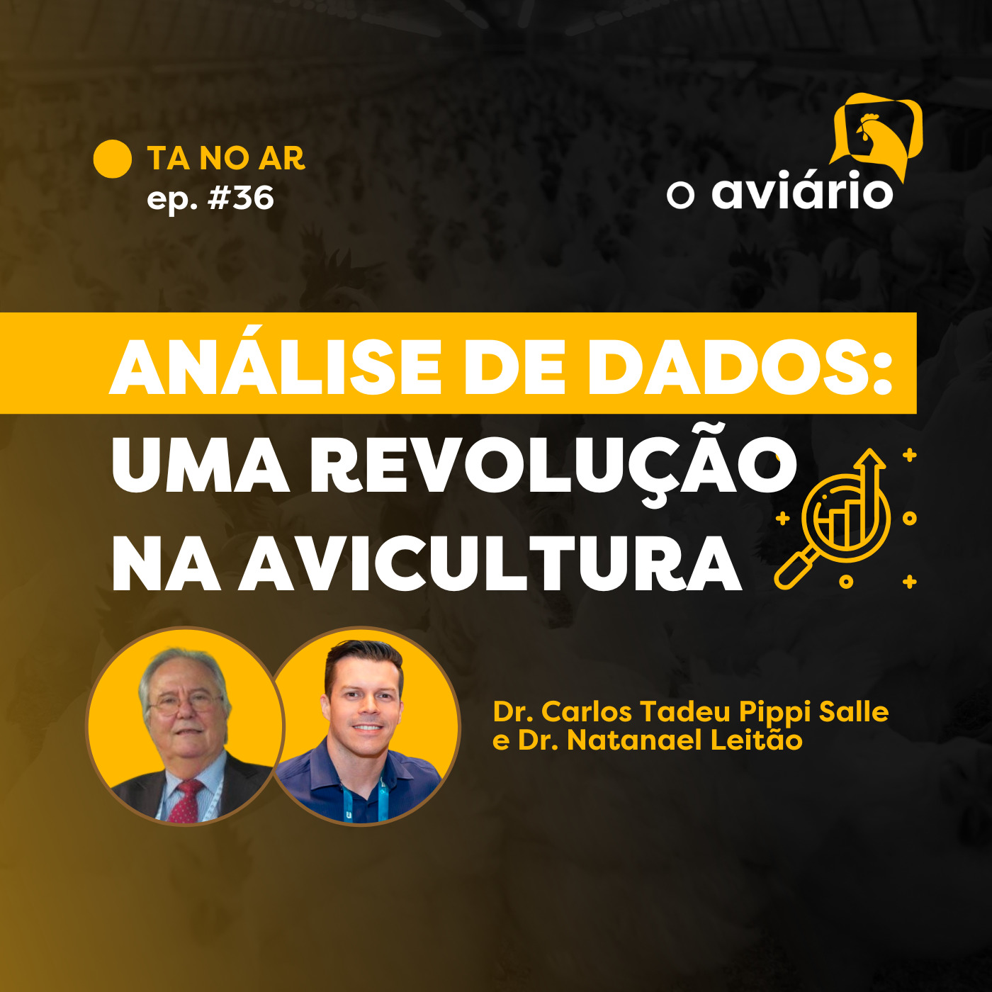 #36 - Análise de Dados: Uma Revolução na Avicultura - Dr. Carlos Tadeu Pippi Salle e Dr. Natanael Leitão