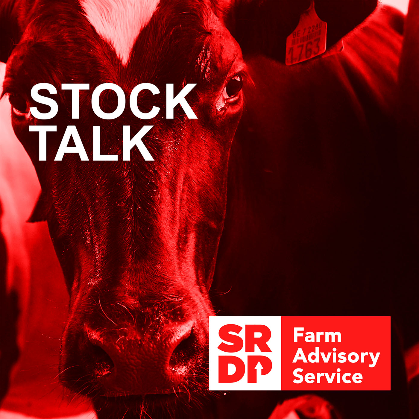 Stock Talk - Planning Ahead of Tupping Time