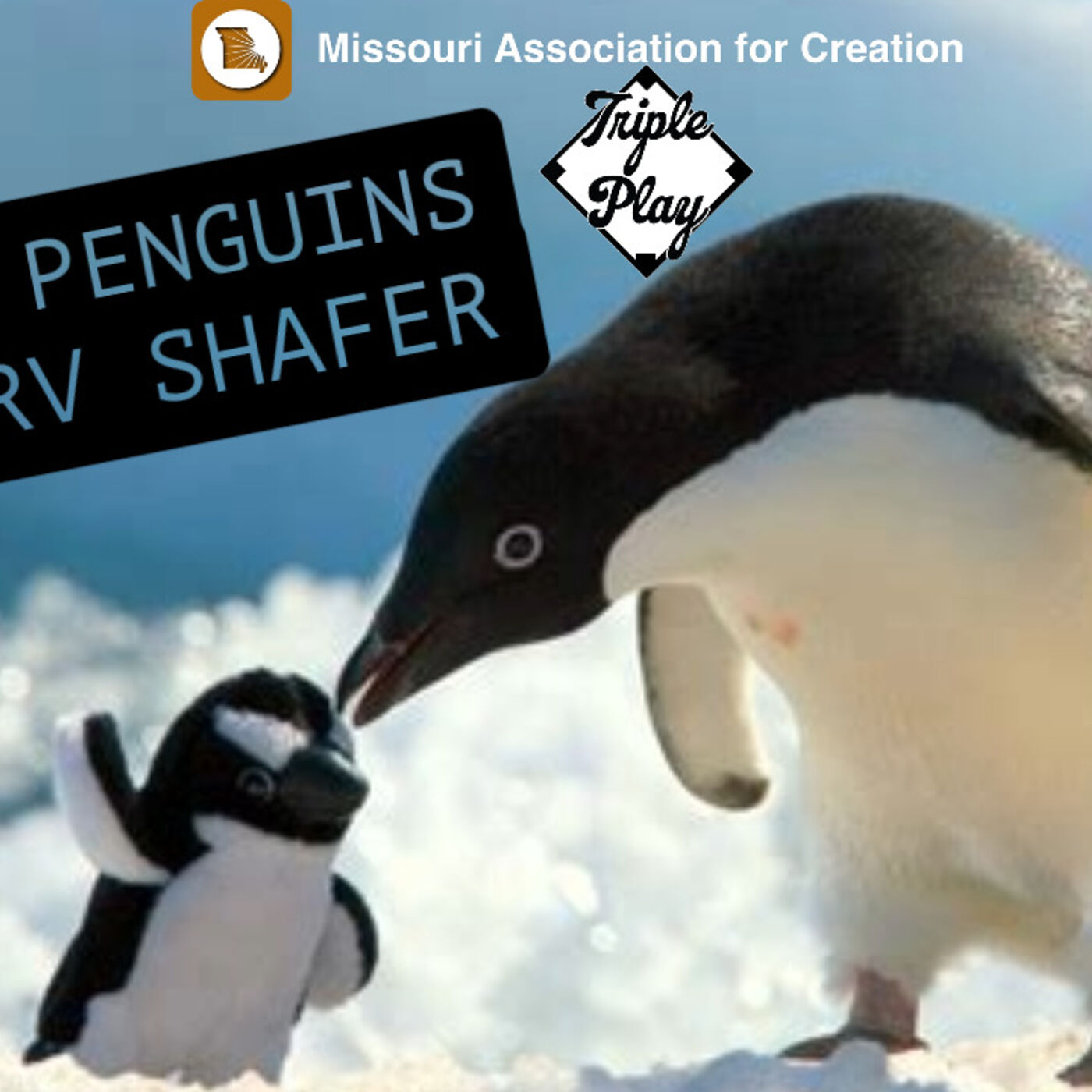 ⁣PENGUINS WITH MARV SHAFER