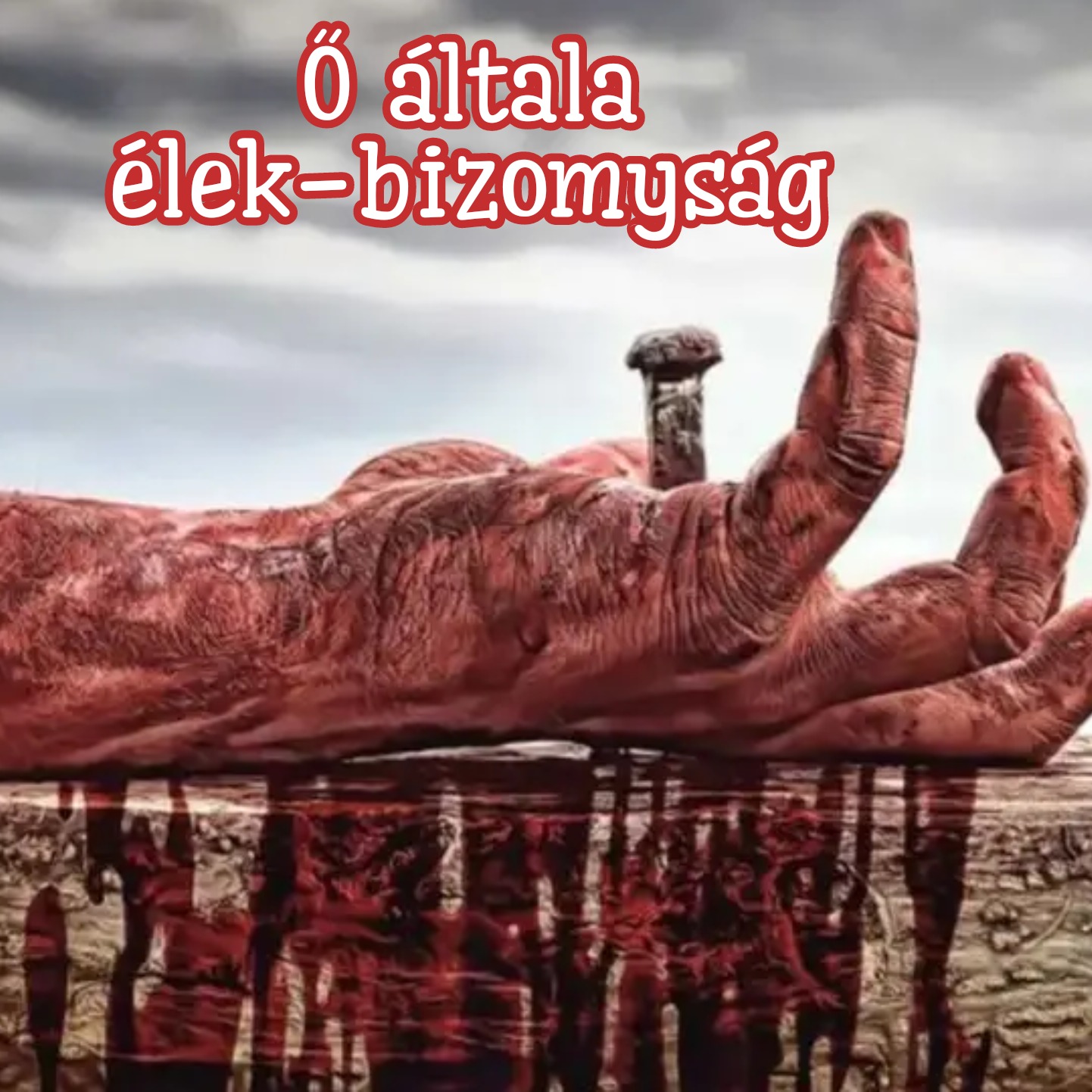 Ő általa élek - Bizonyság