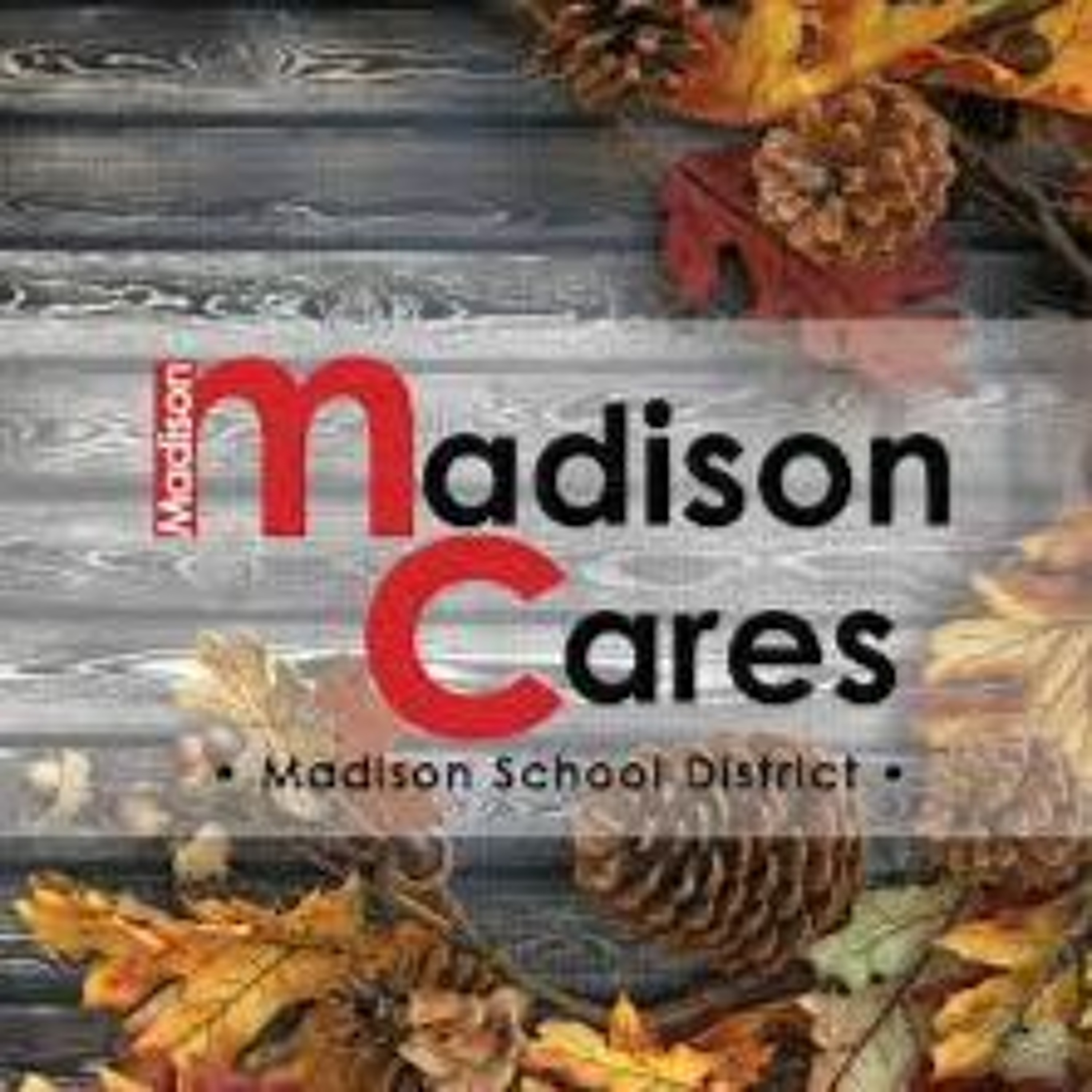 Madison Cares for mental health interview