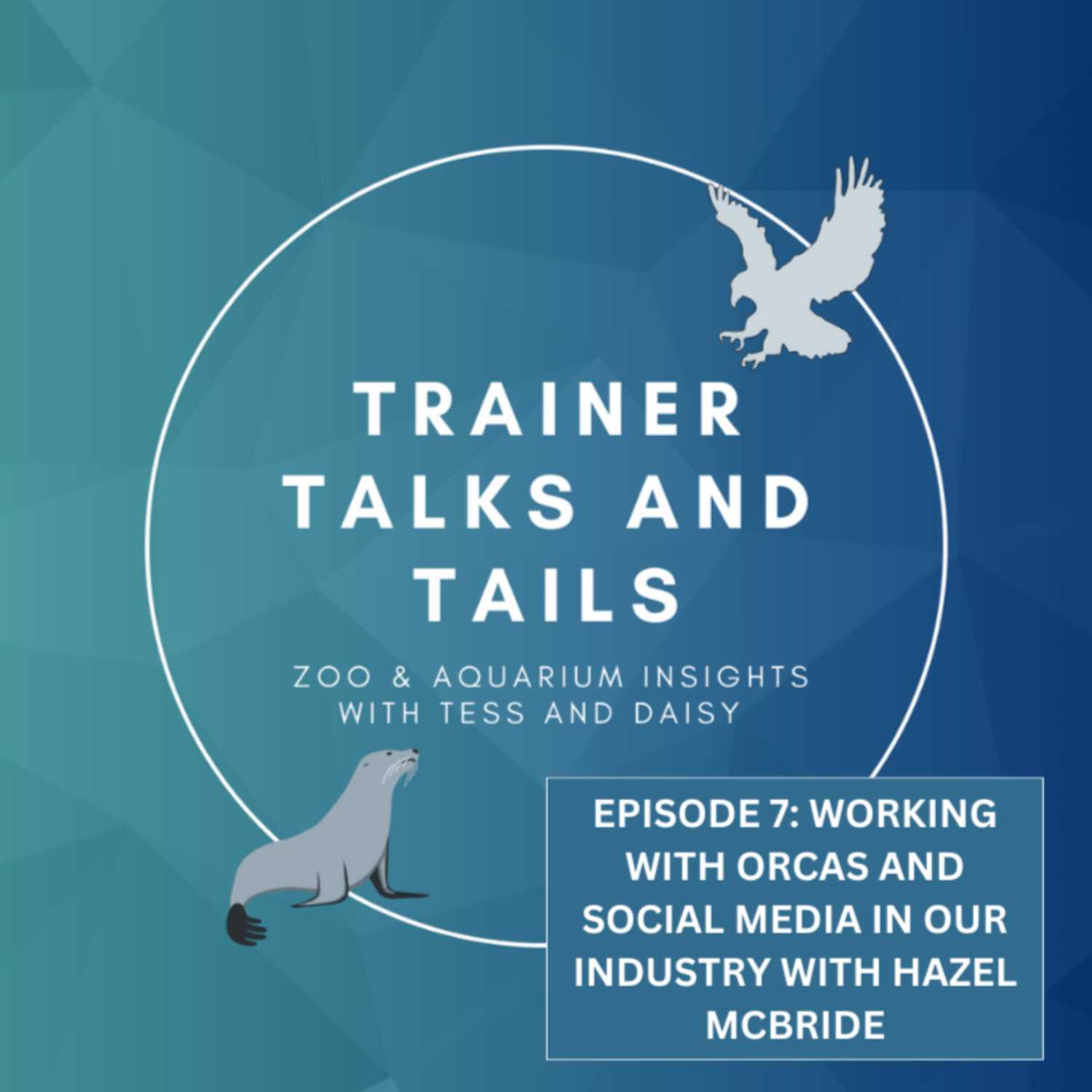 Episode 7: Working with Orcas and Social Media in our Industry with Hazel McBride