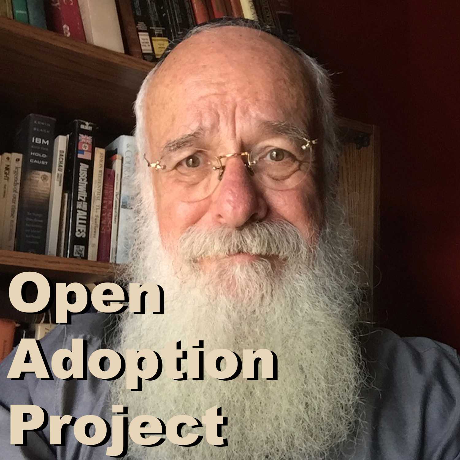 ⁣The Adoption Constellation with Professor Michael Grand 