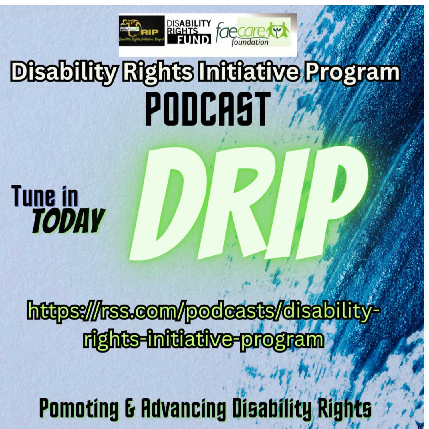 Disability Rights Initiative Program (DRIP) 