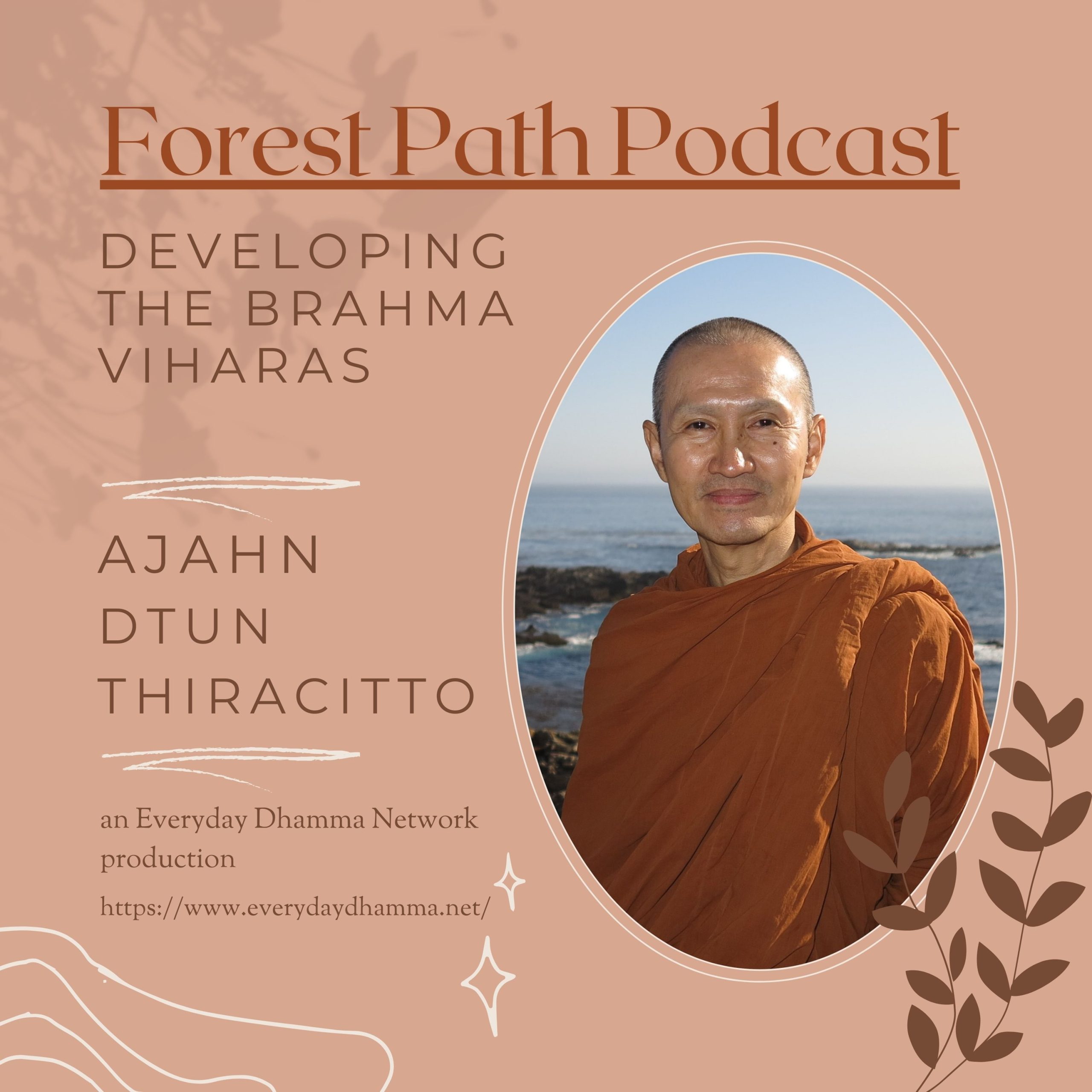 ⁣Developing Brahma Viharas | Ajahn Dtun