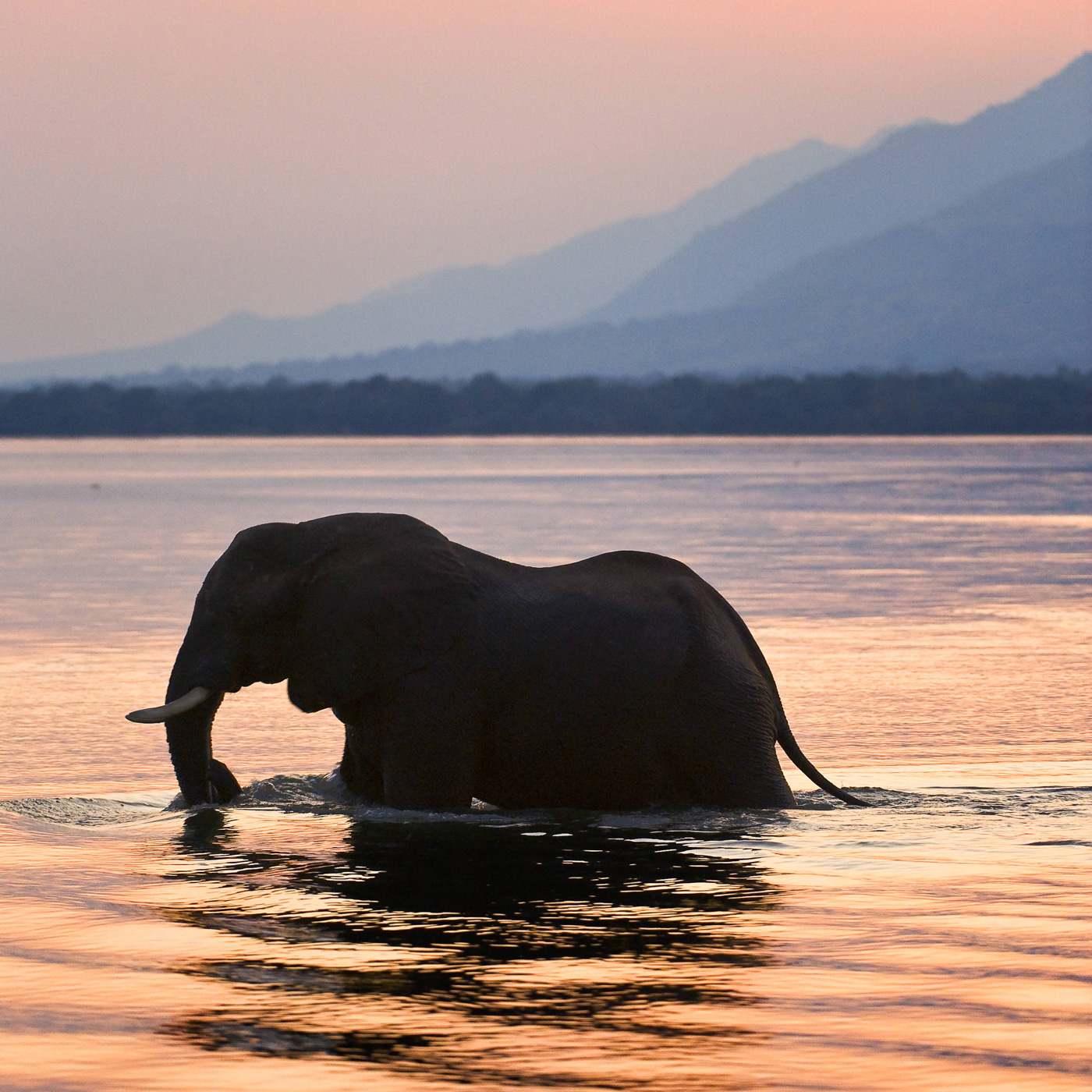 Auf Safari in Sambia