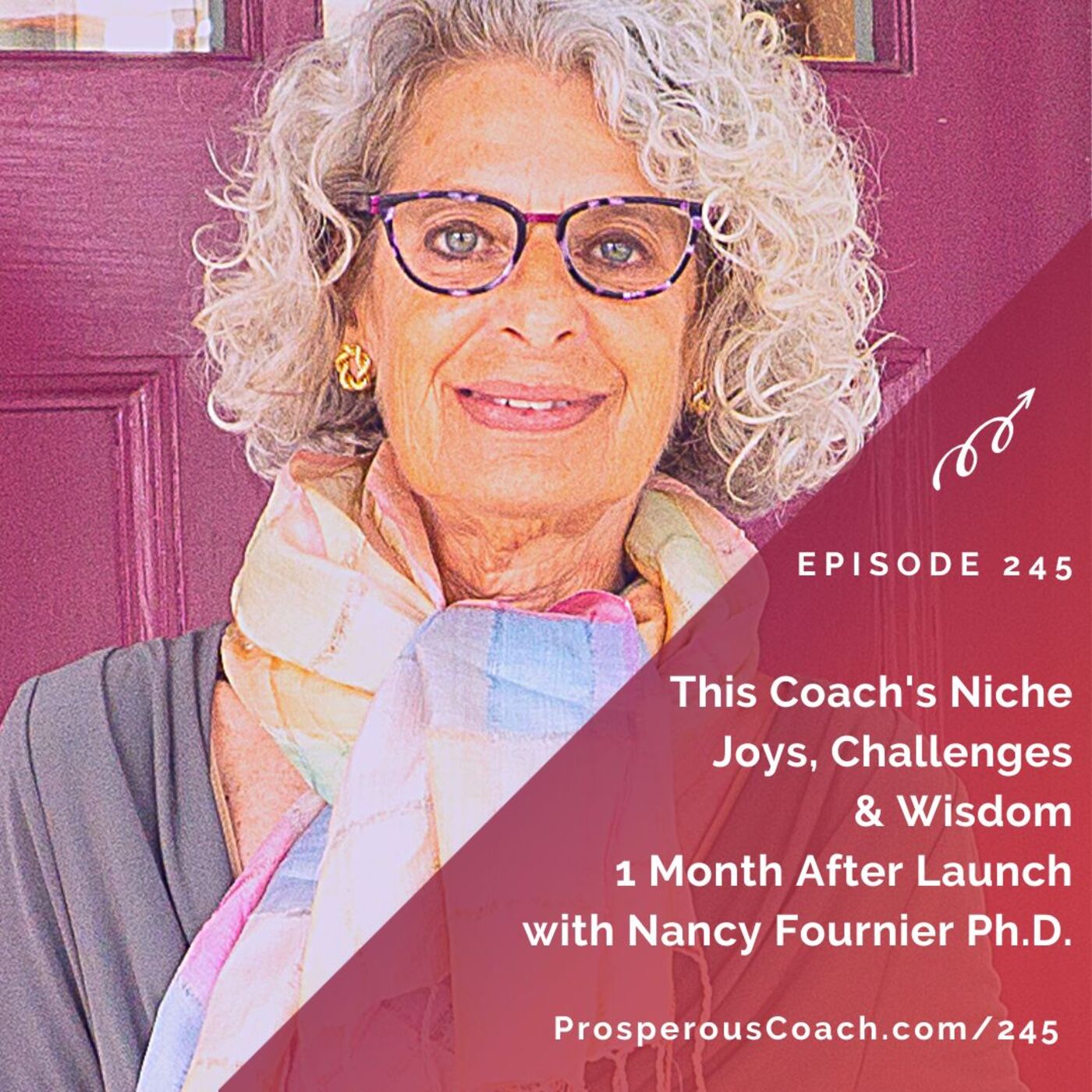 245: This Coach's Niche Joy, Challenges and Wisdom 1 Month After Launch with Nancy Fournier Ph.D.