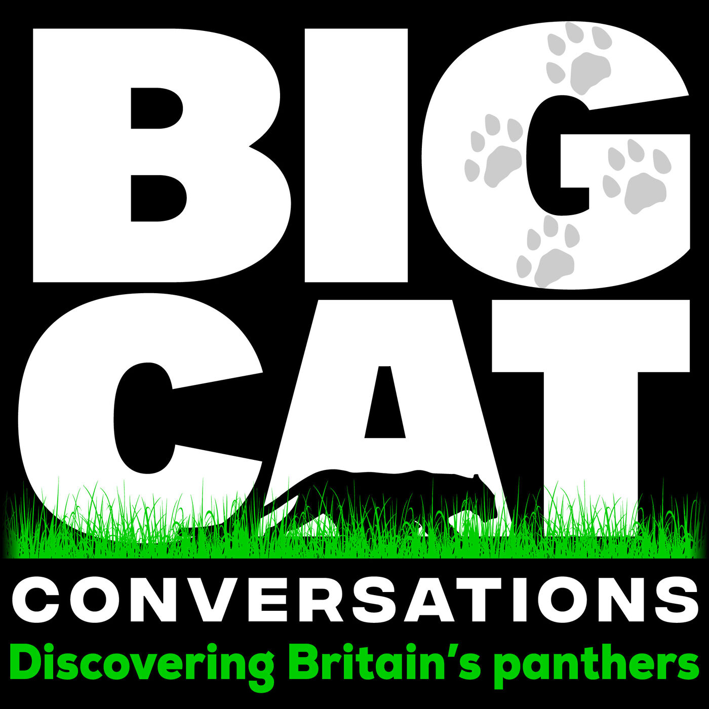 Big Cat Conversations 