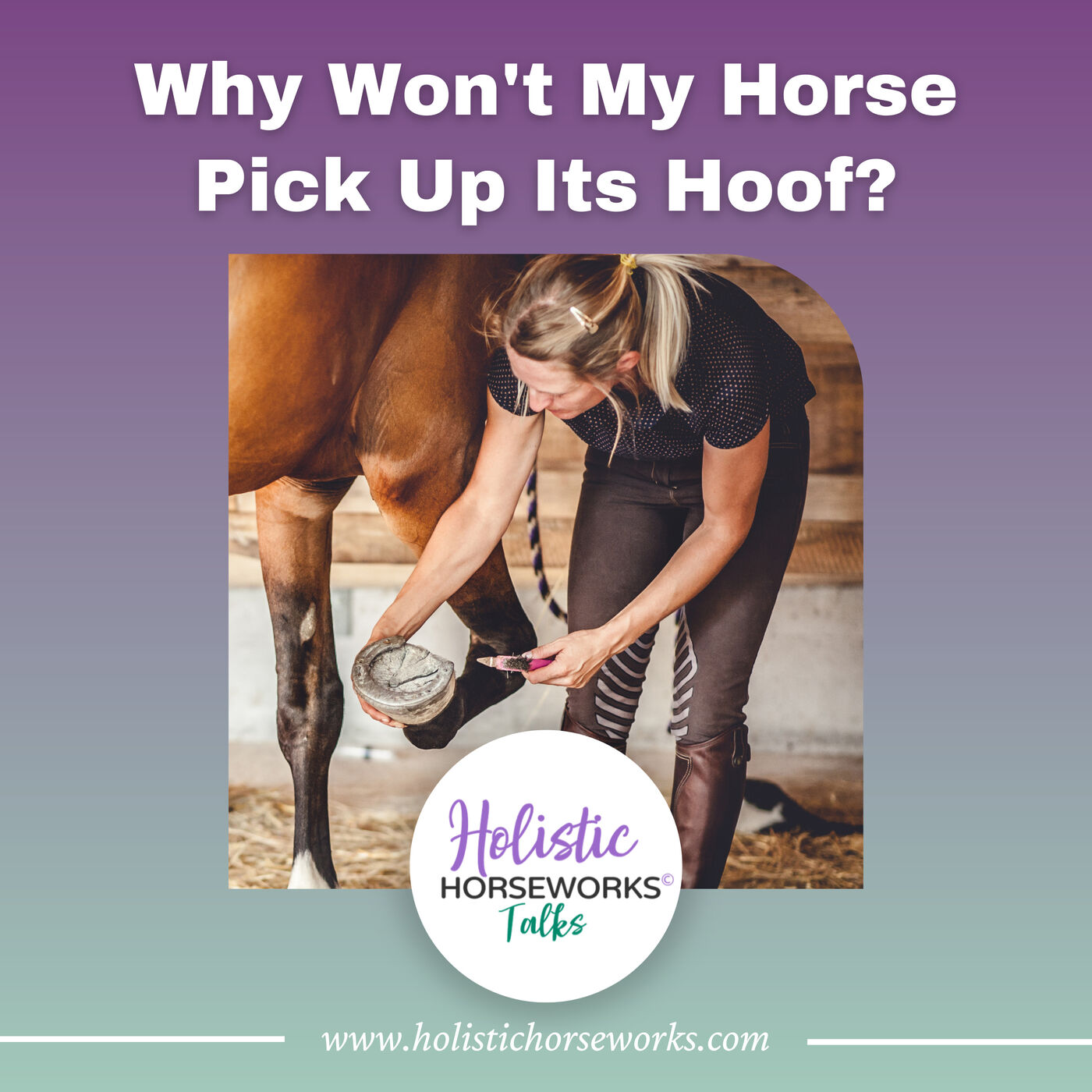 Why Won't My Horse Pick Up Its Hoof?