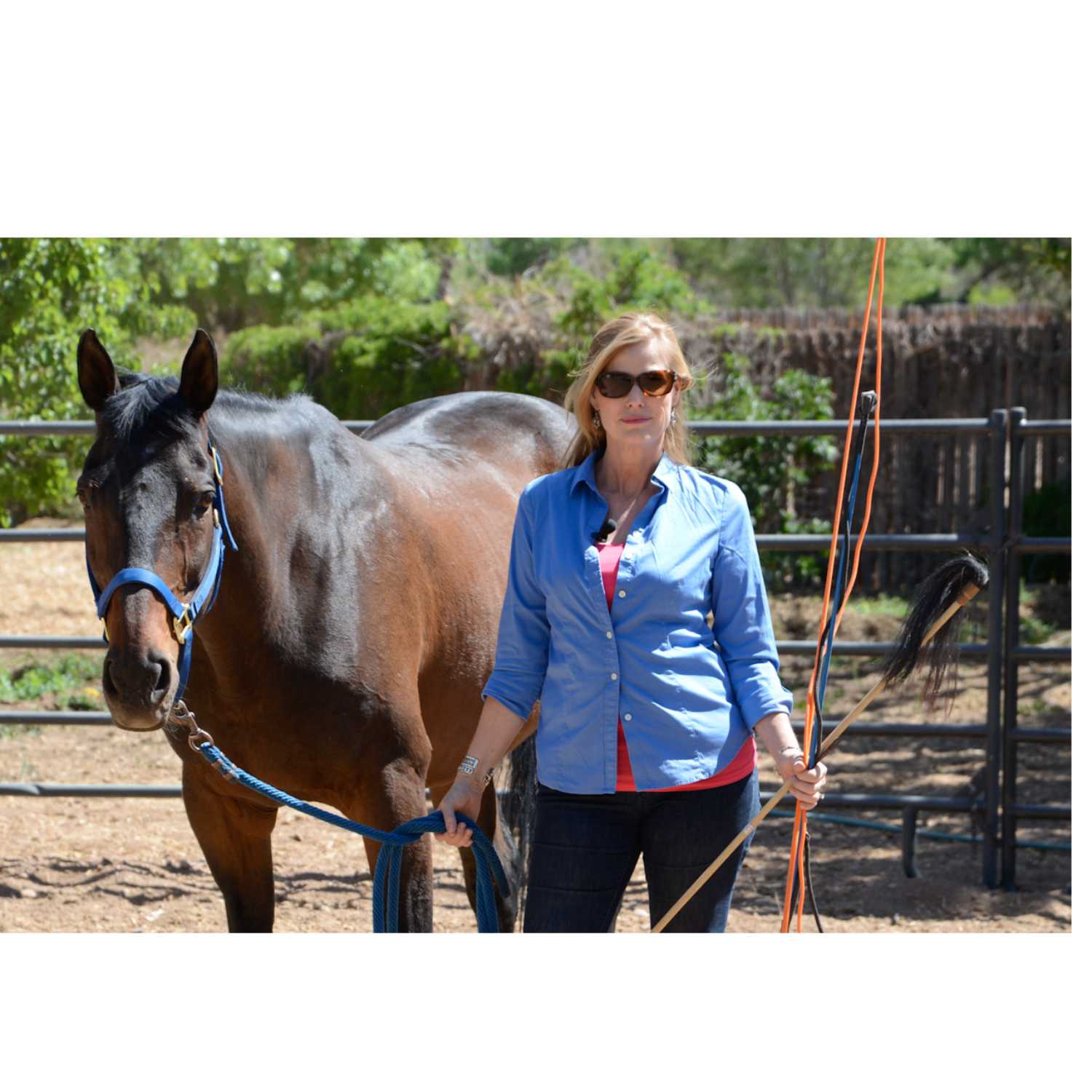 Horse Wisdom -- What horses can teach us about boundaries!