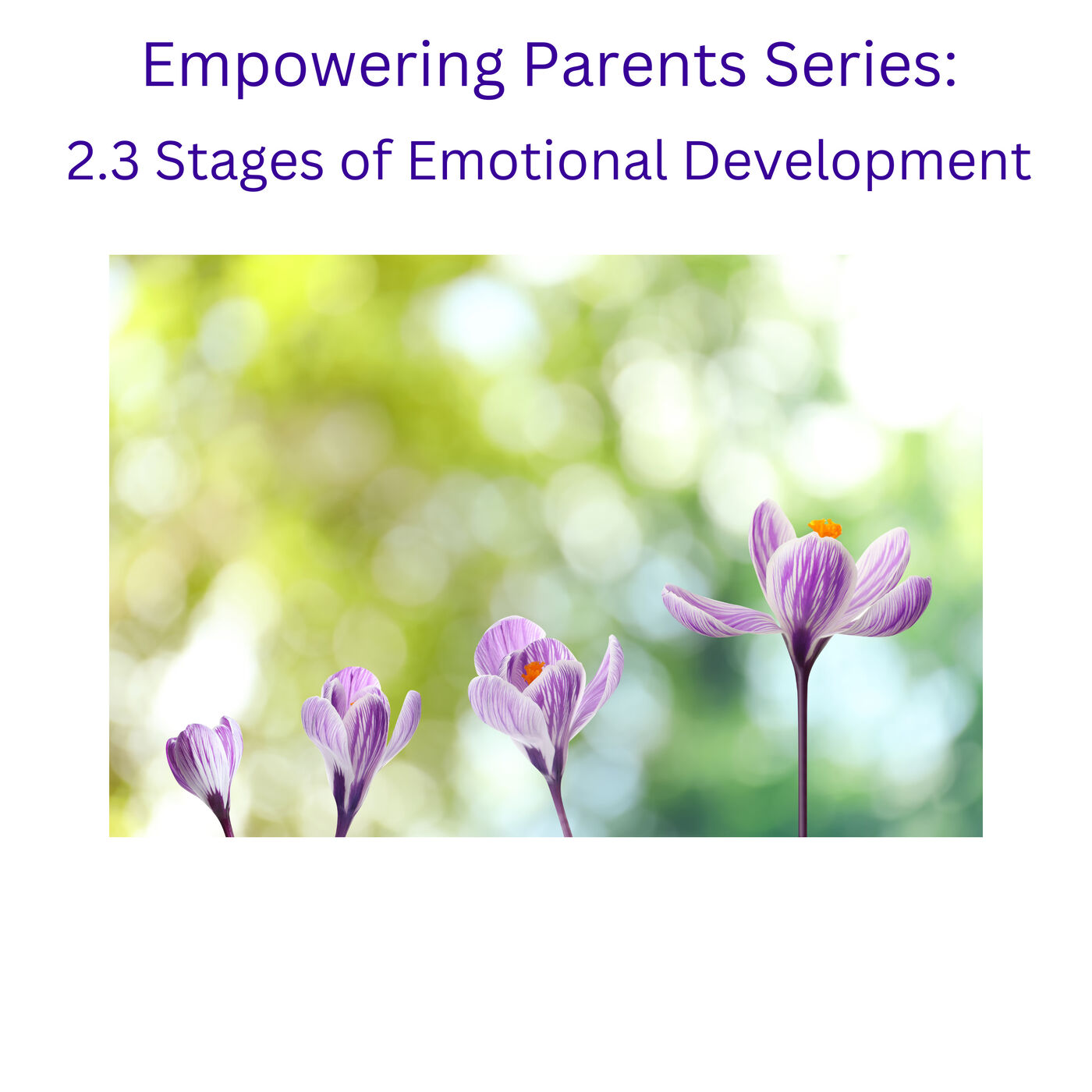 2.3 Stages of Emotional Development