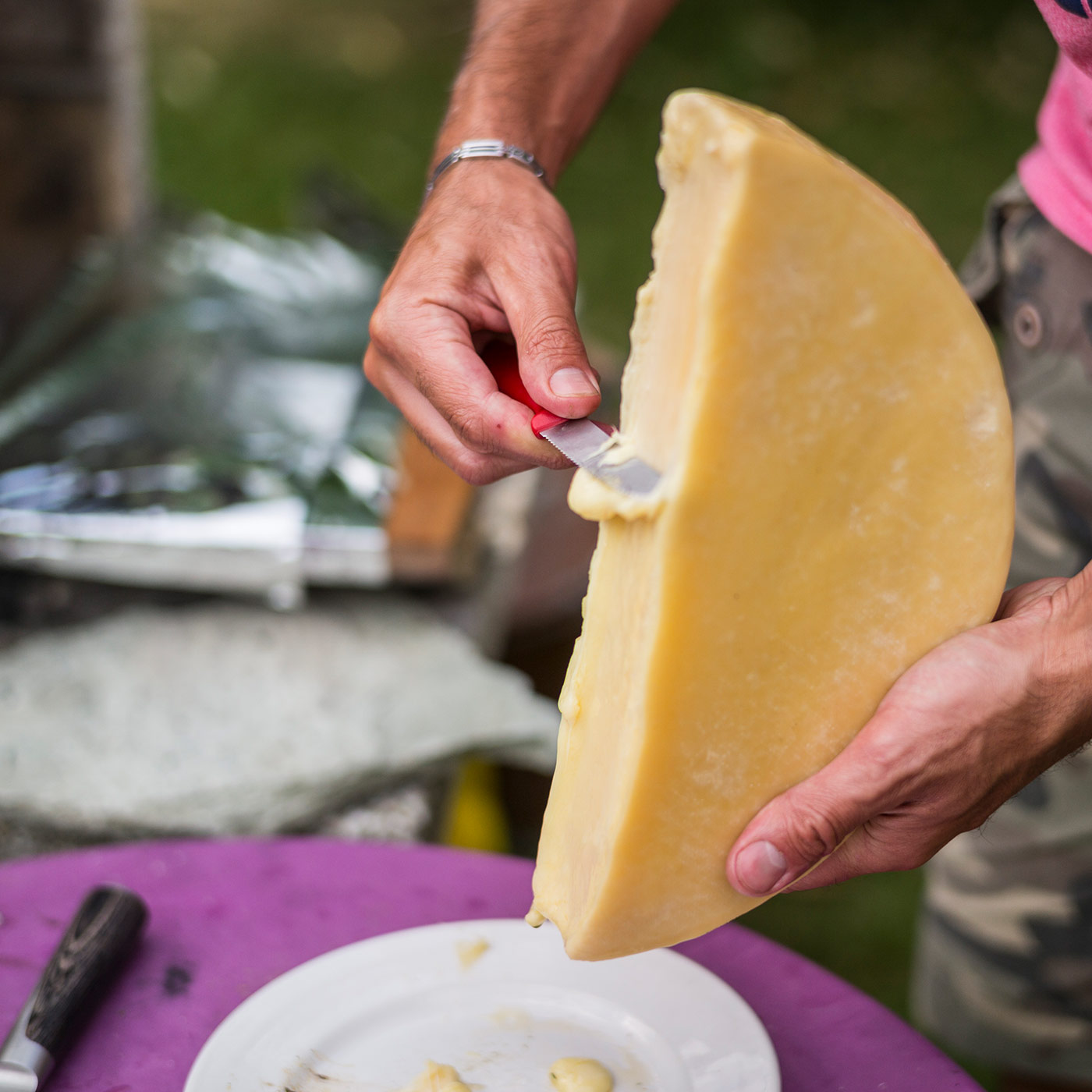 ⁣Von Käse bis Kugelfisch: Eine kulinarische Weltreise