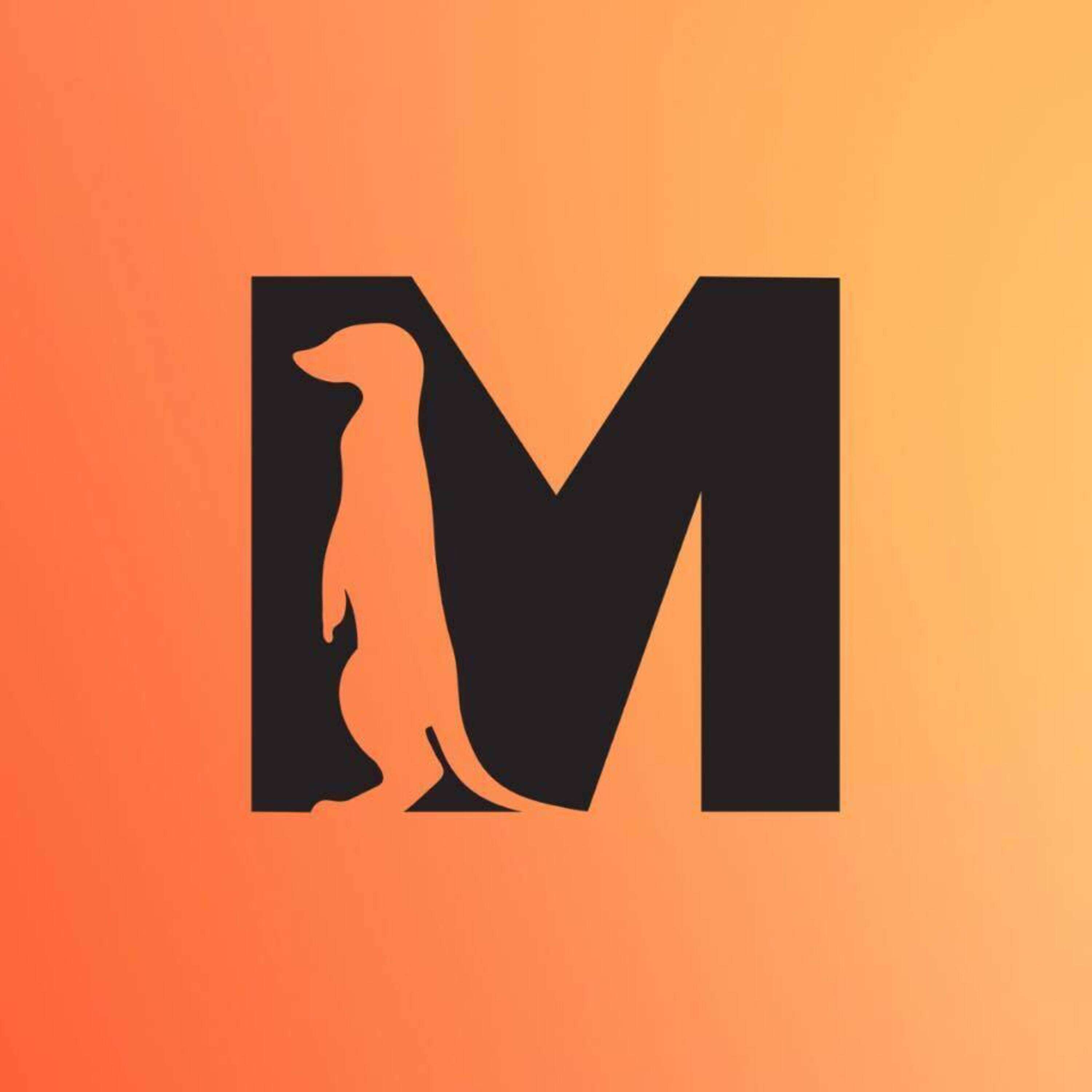 Grow With Meerkat 