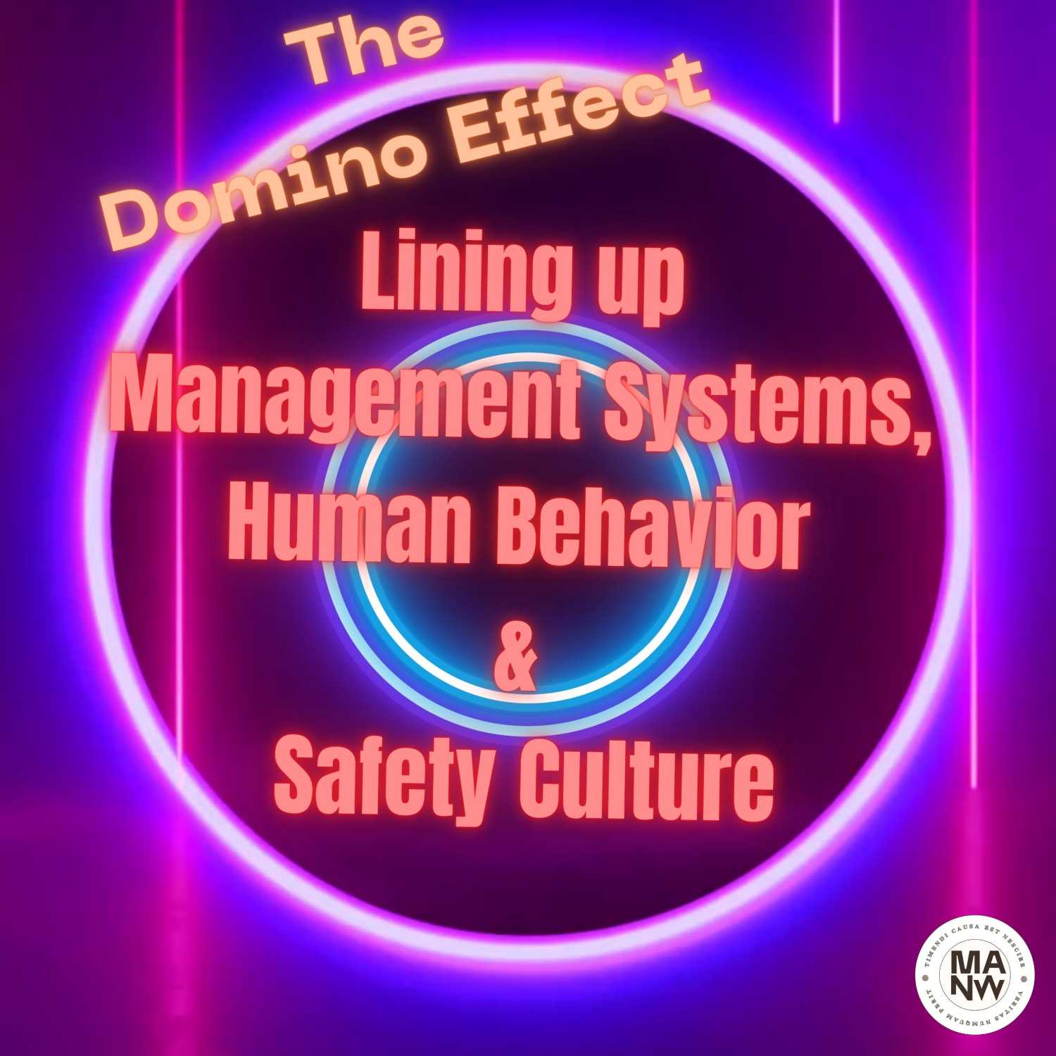 SO YOU WANNA BE A SAFETY PROFESSIONAL - S1E6 - The Domino Effect: Lining up Management Systems, Human Behavior and Safety Culture