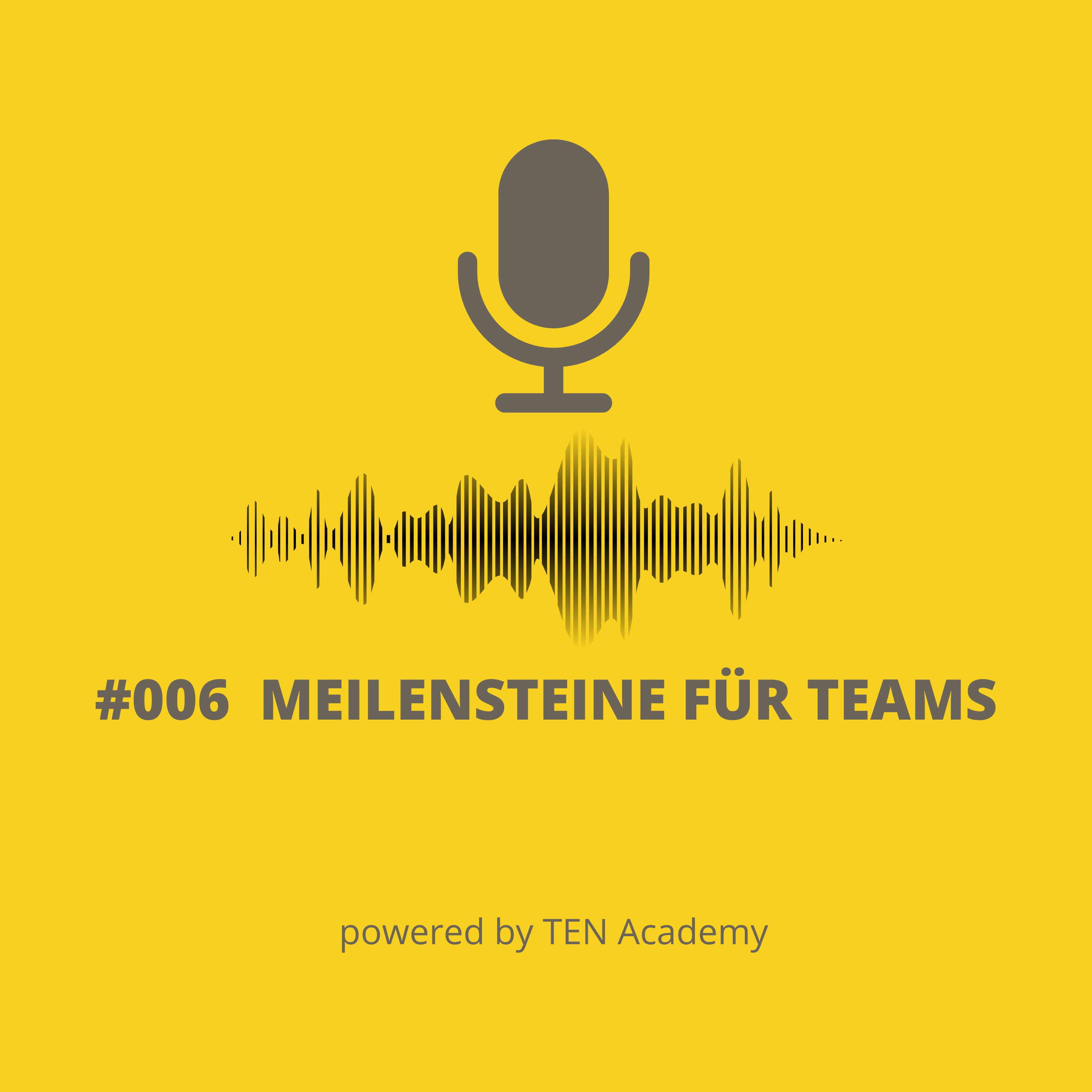 006 Meilensteine mit dem Team