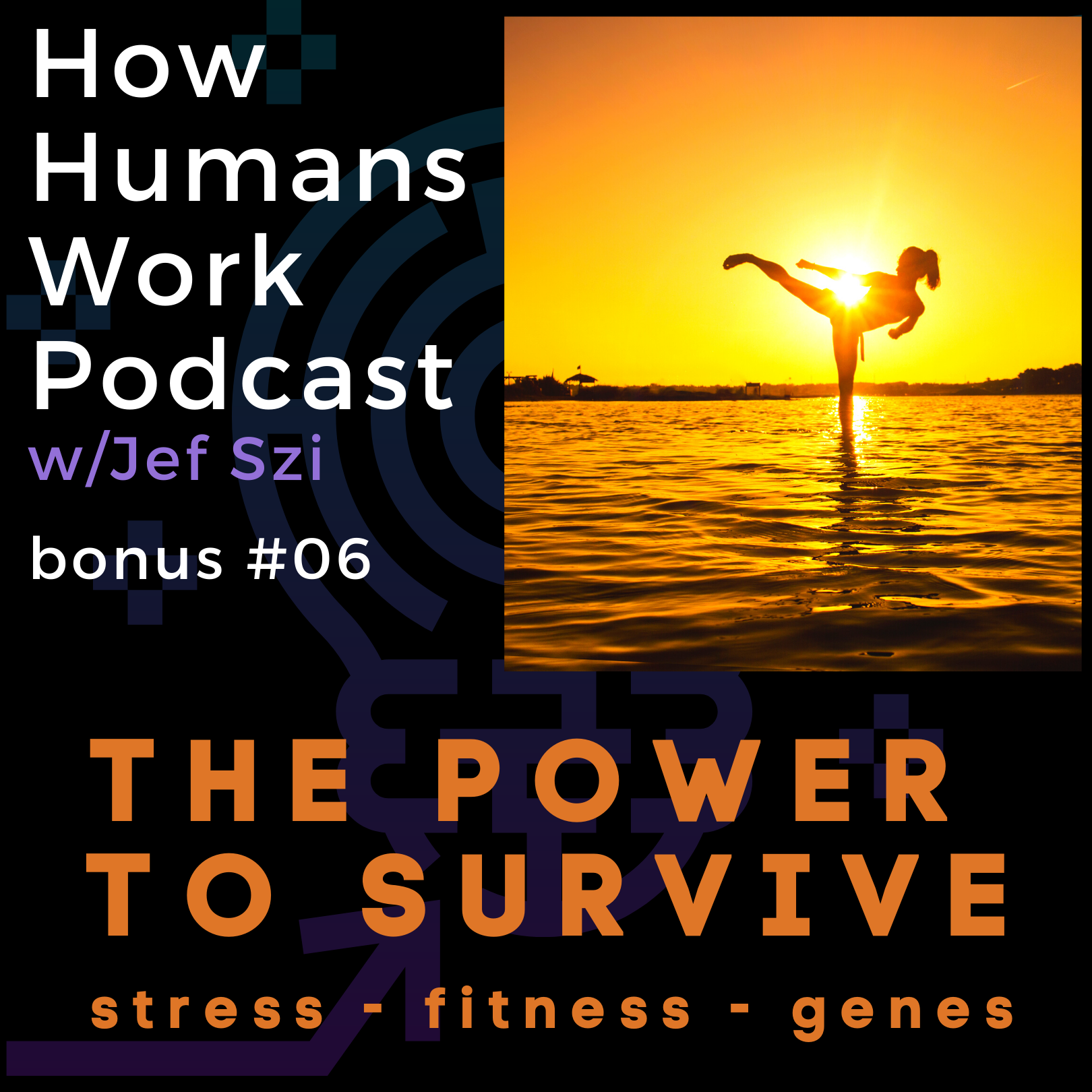 Bonus Episode #6: The Power to Survive