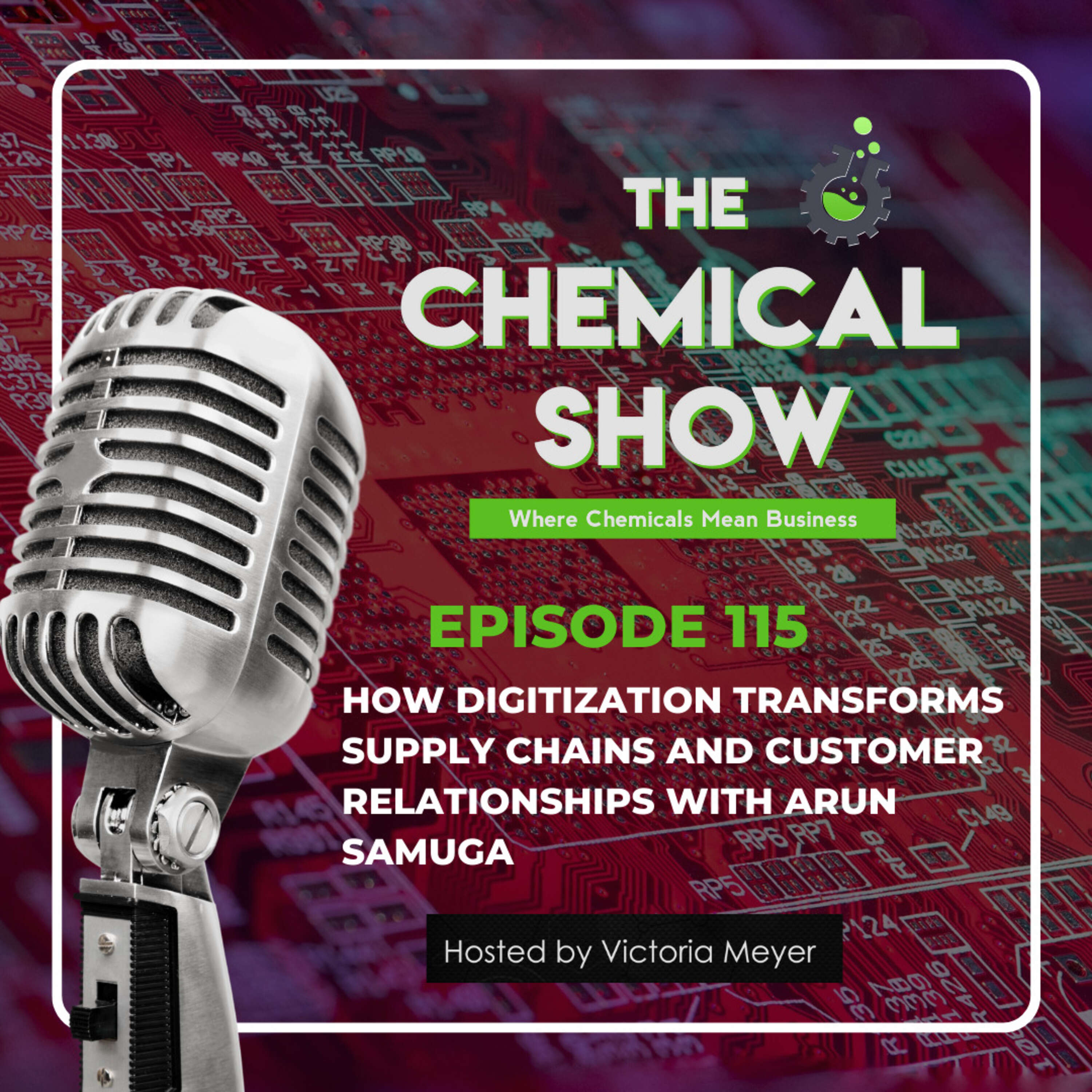 How Digitization Transforms Supply Chains and Customer Relationships with Arun Samuga - Ep. 115