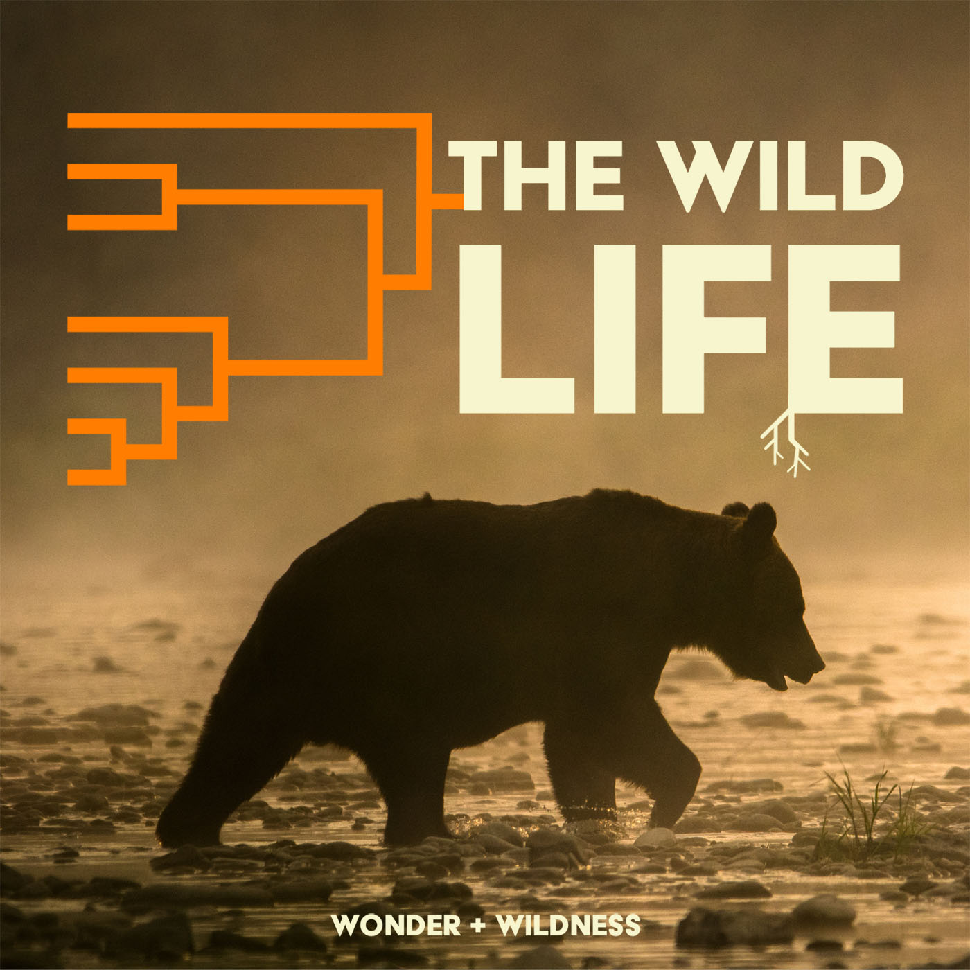 The Wild Life 