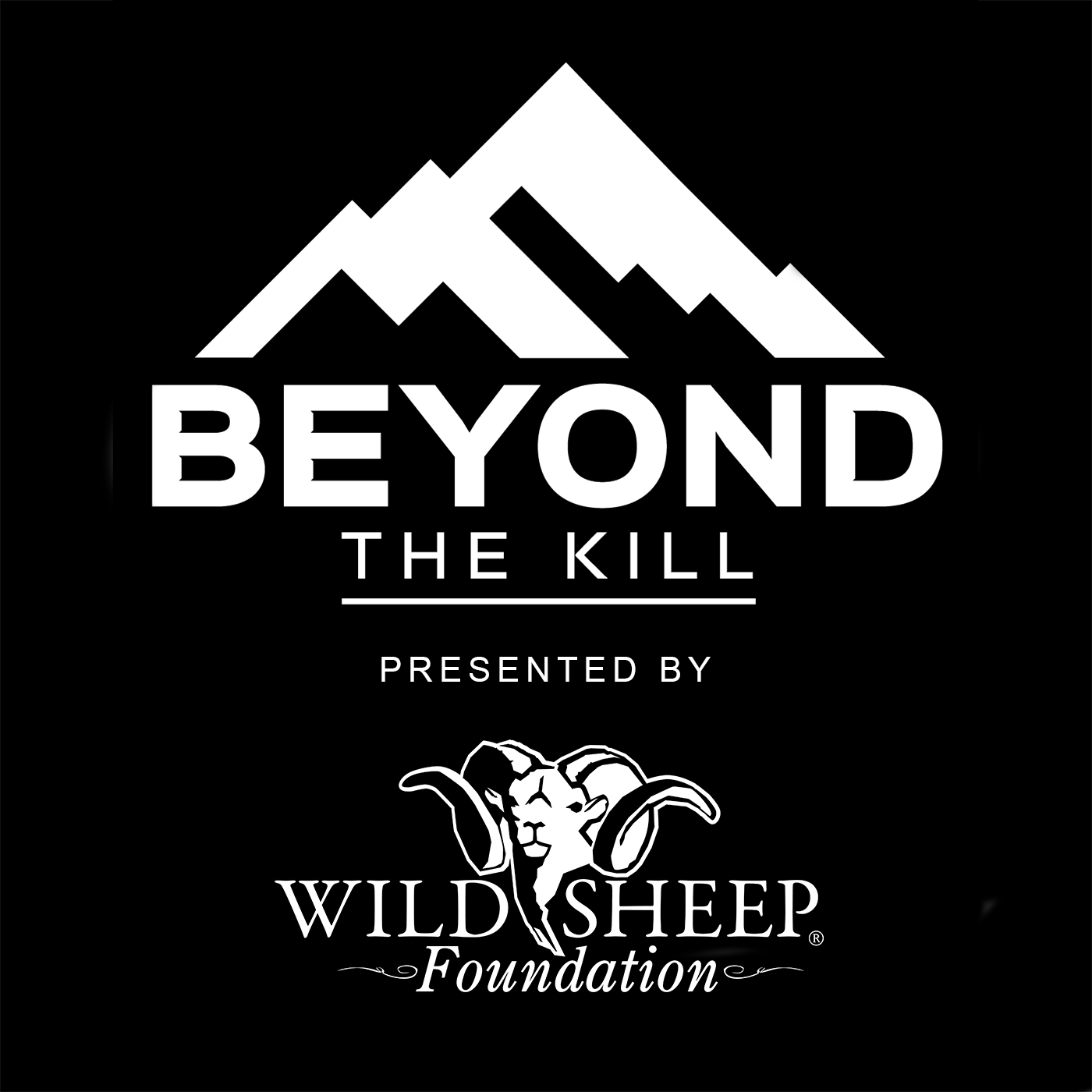 Beyond the Kill 