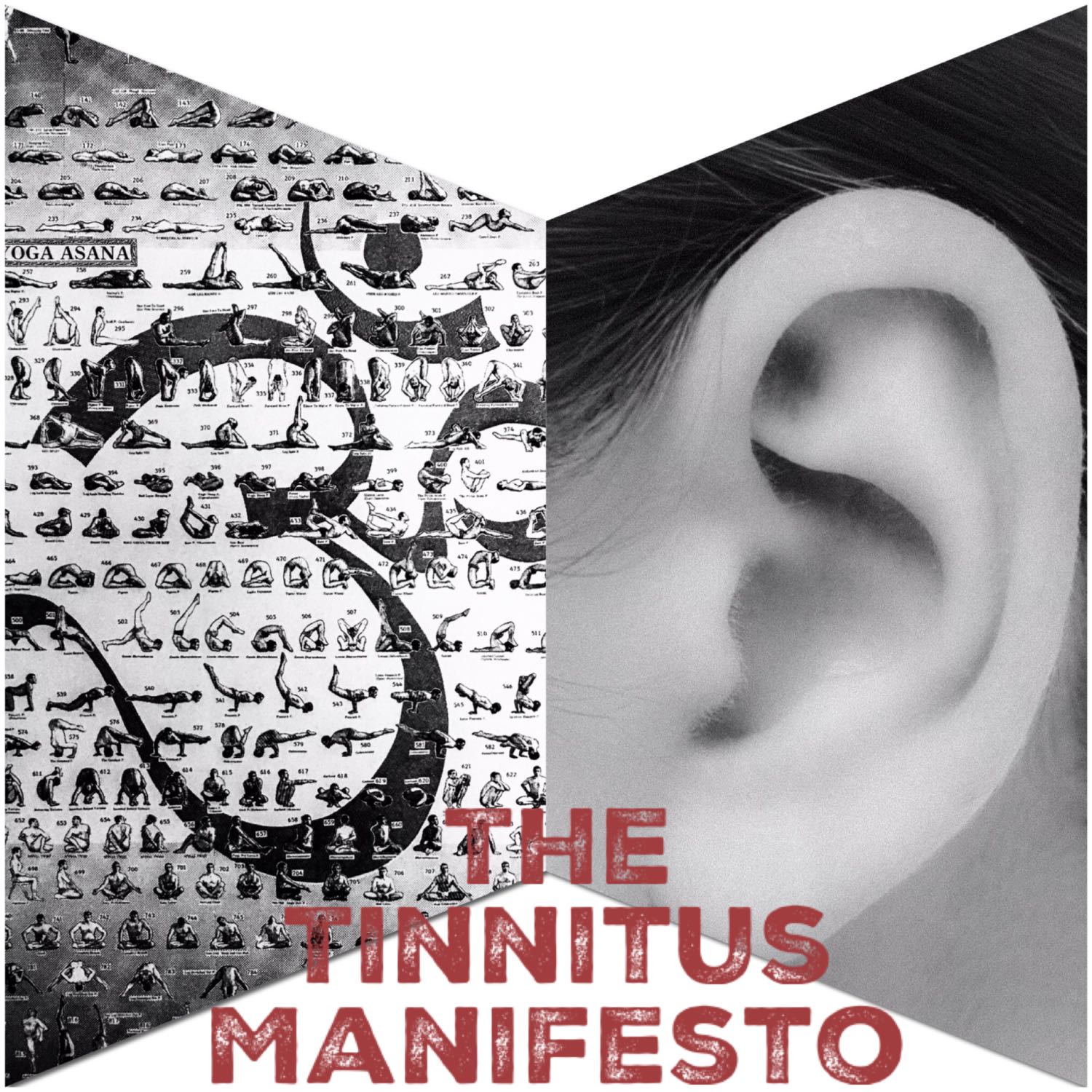 The Tinnitus Manifesto Podcast: Co-Host interview with Dr. Rebecca Grome