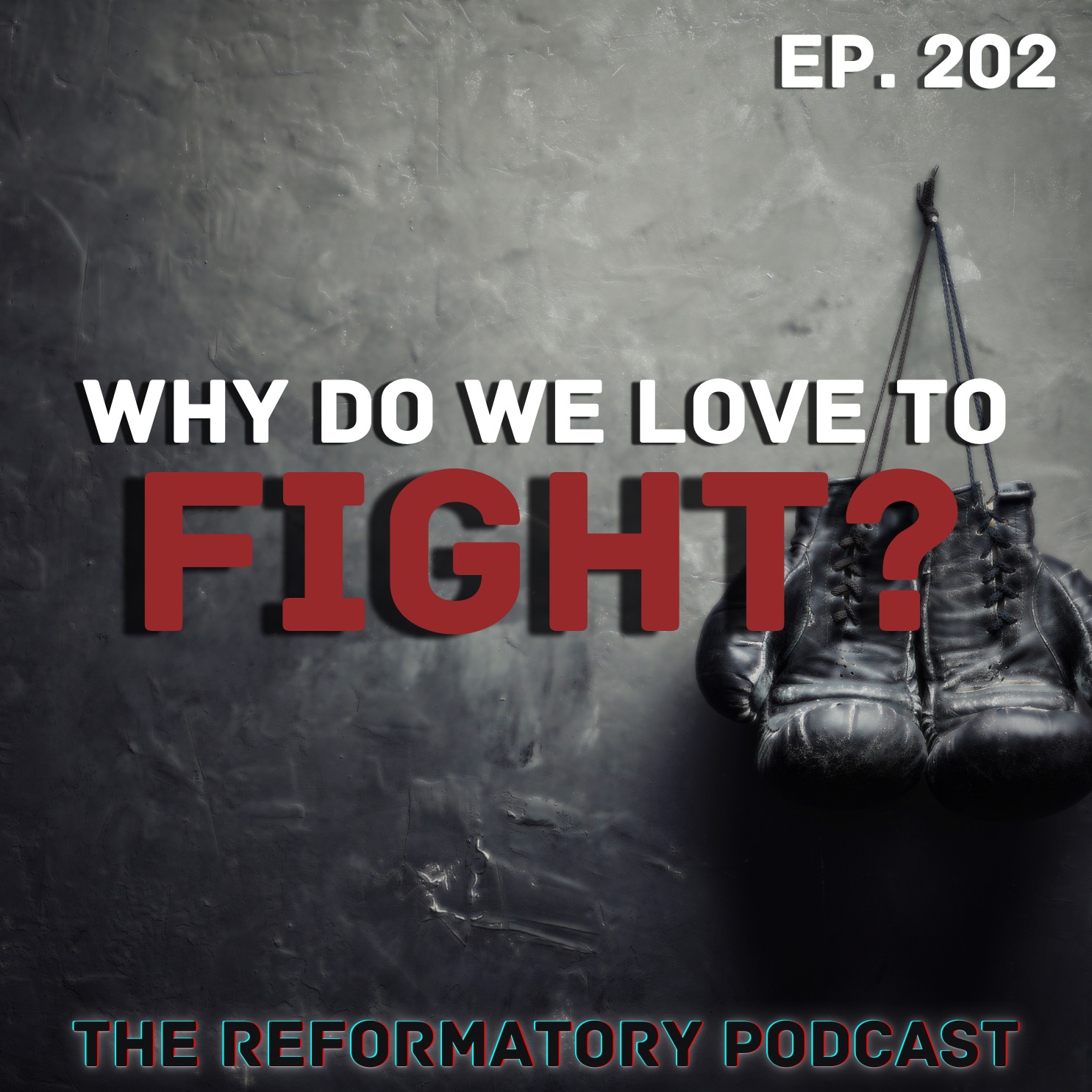 Why Do We Love To Fight?