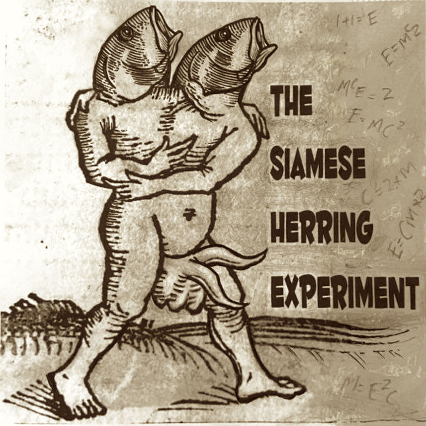 The Siamese Herring Experiment 