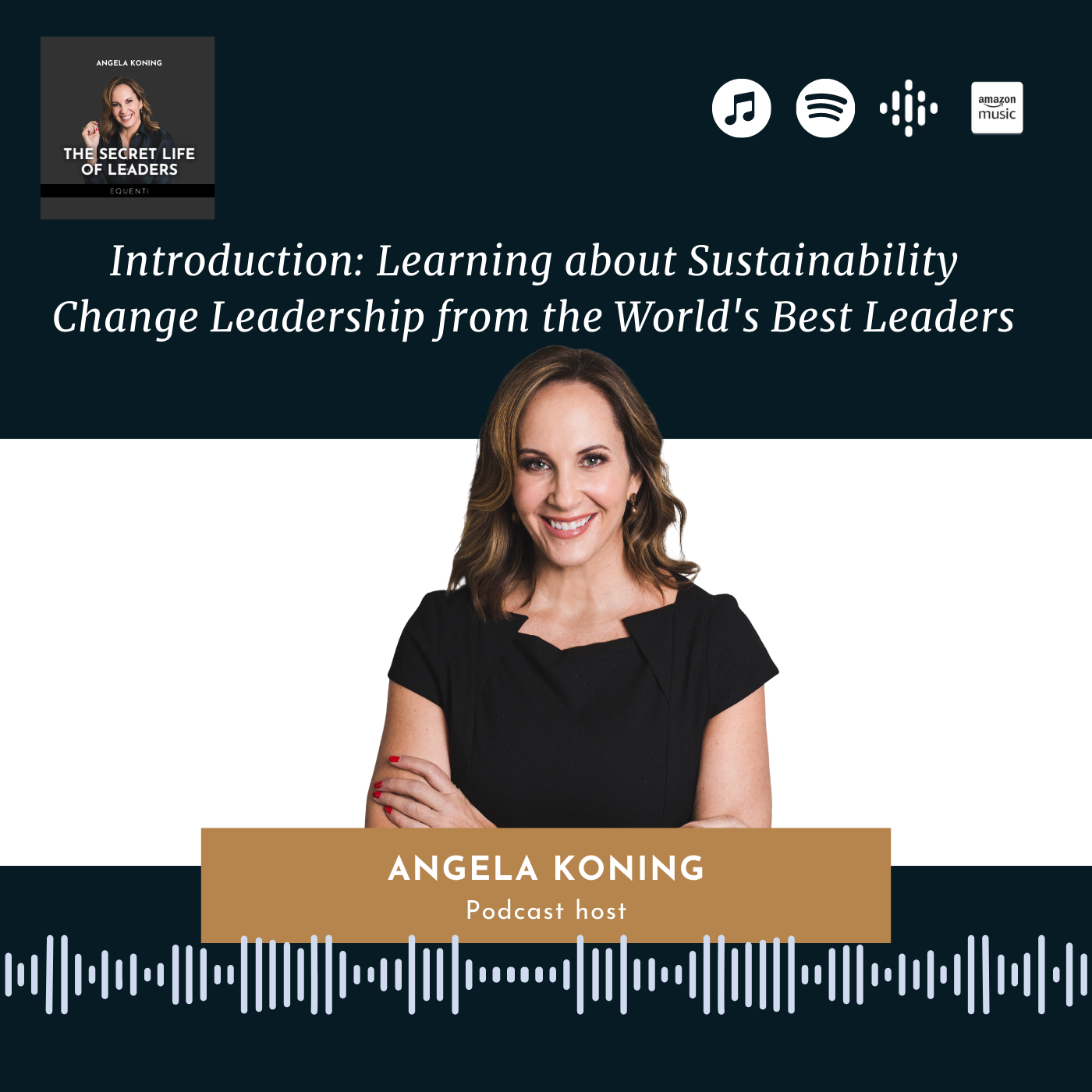 1. Introduction: Learning about Sustainability Change Leadership from the World's Best Leaders