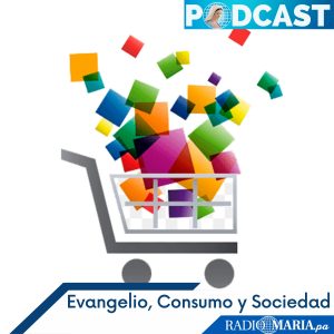 Evangelio, consumo y sociedad