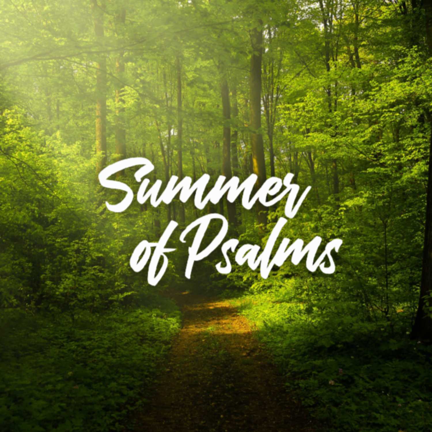 Psalm 116 - Summer of Psalms