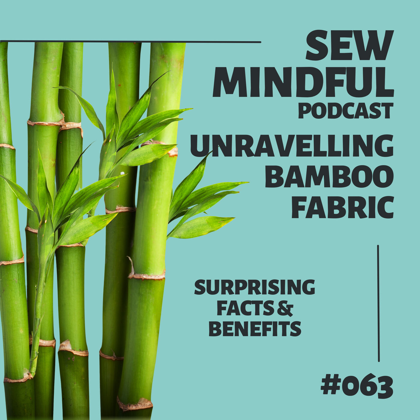 063: Unravelling Bamboo Fabric: Surprising Facts and Benefits