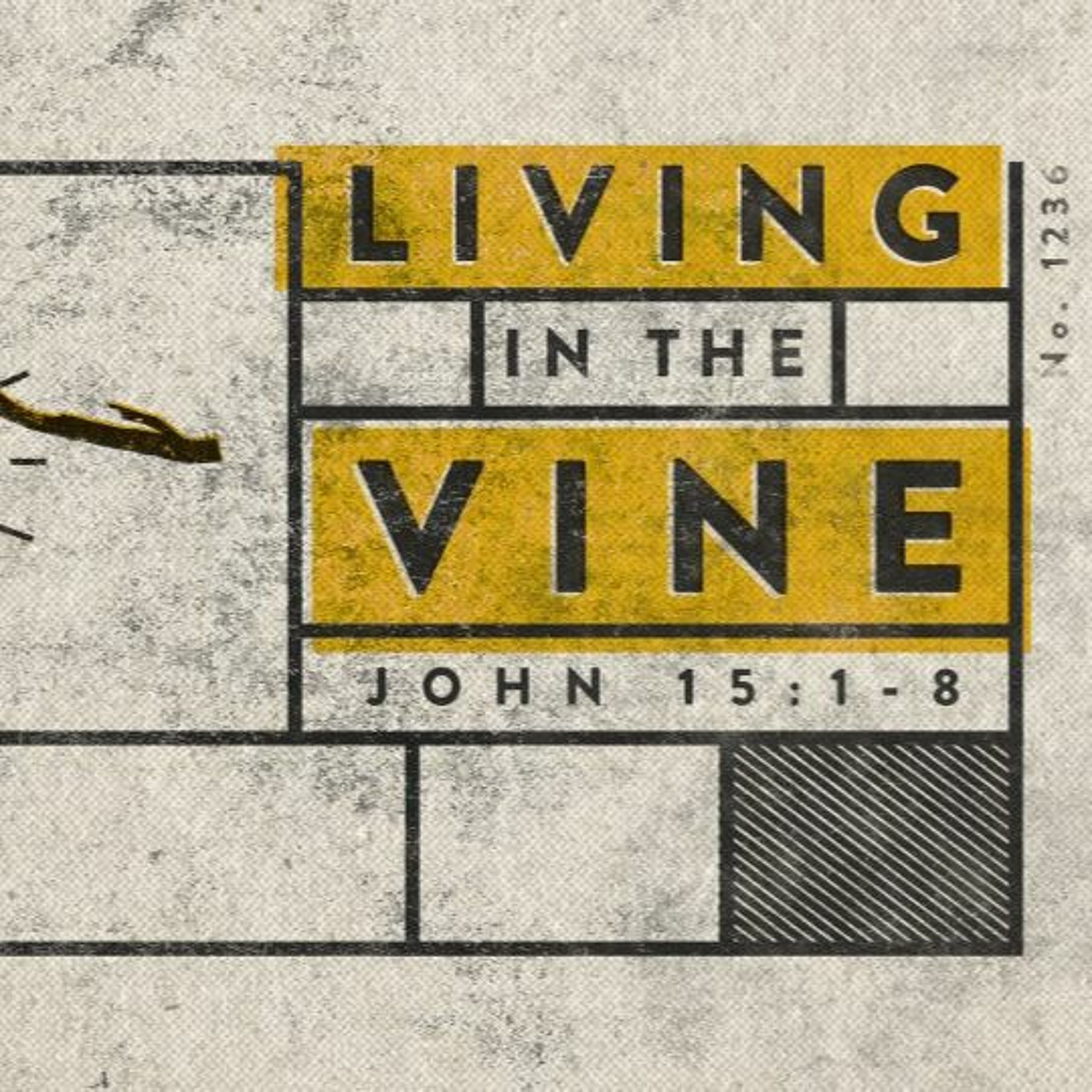 ⁣Living in the Vine, Abiding in Christ. John 15 WK 1