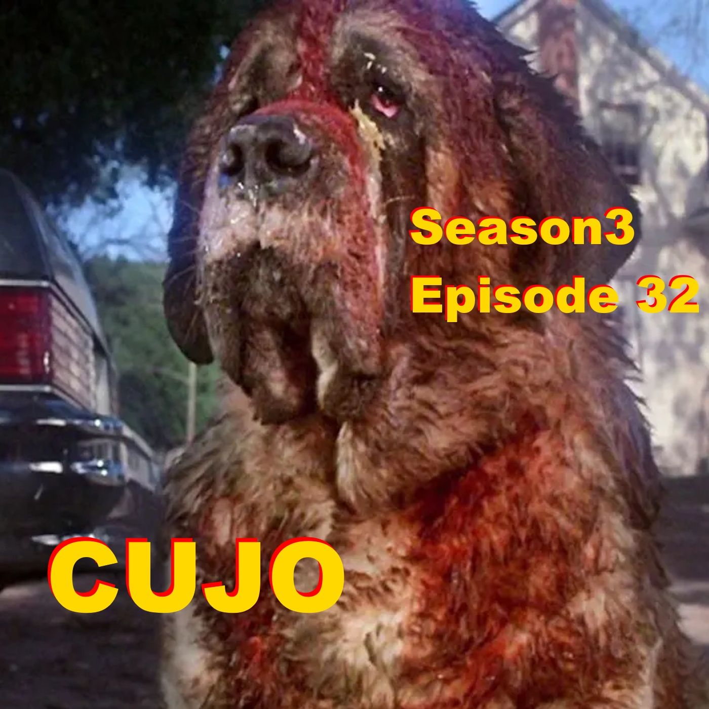 Cujo