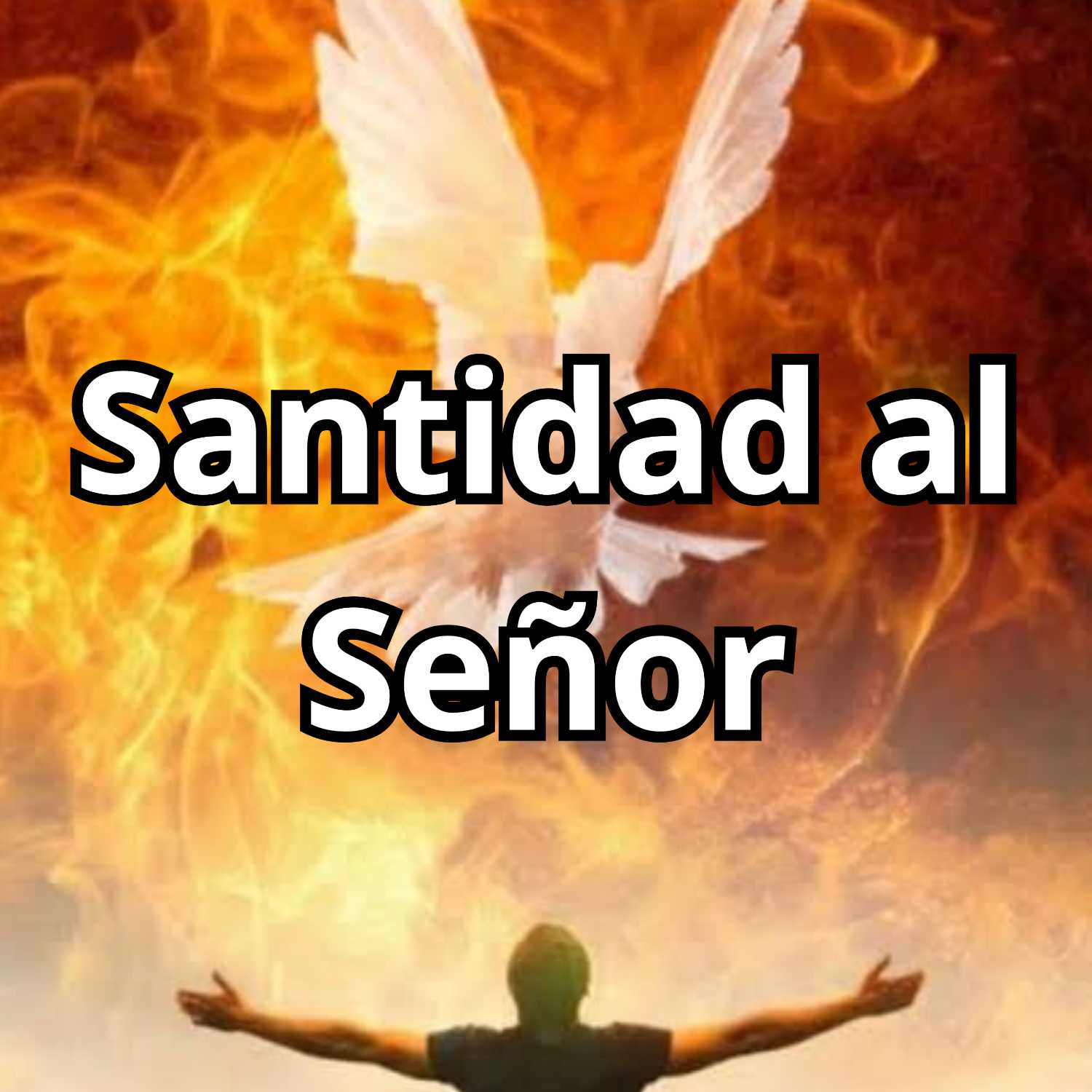 Santidad al Señor 