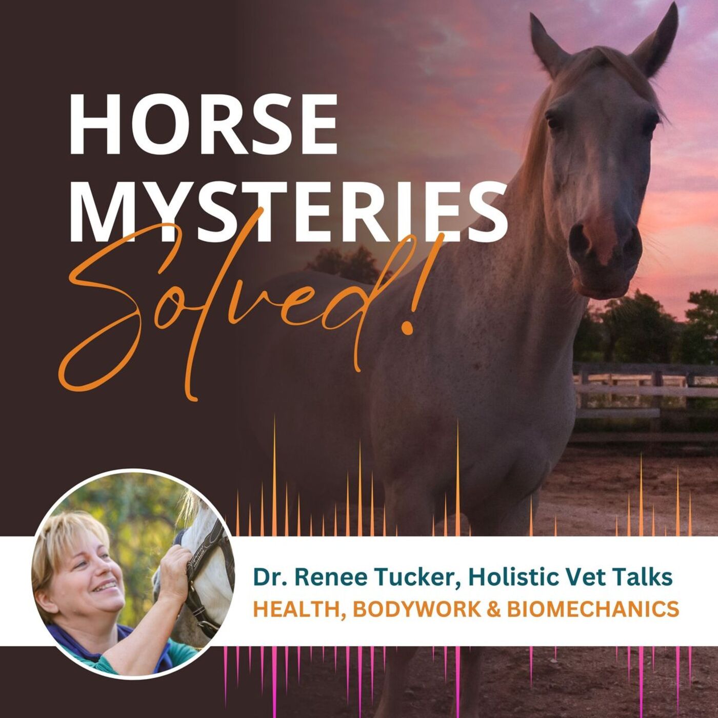 Horse Mysteries Solved! 