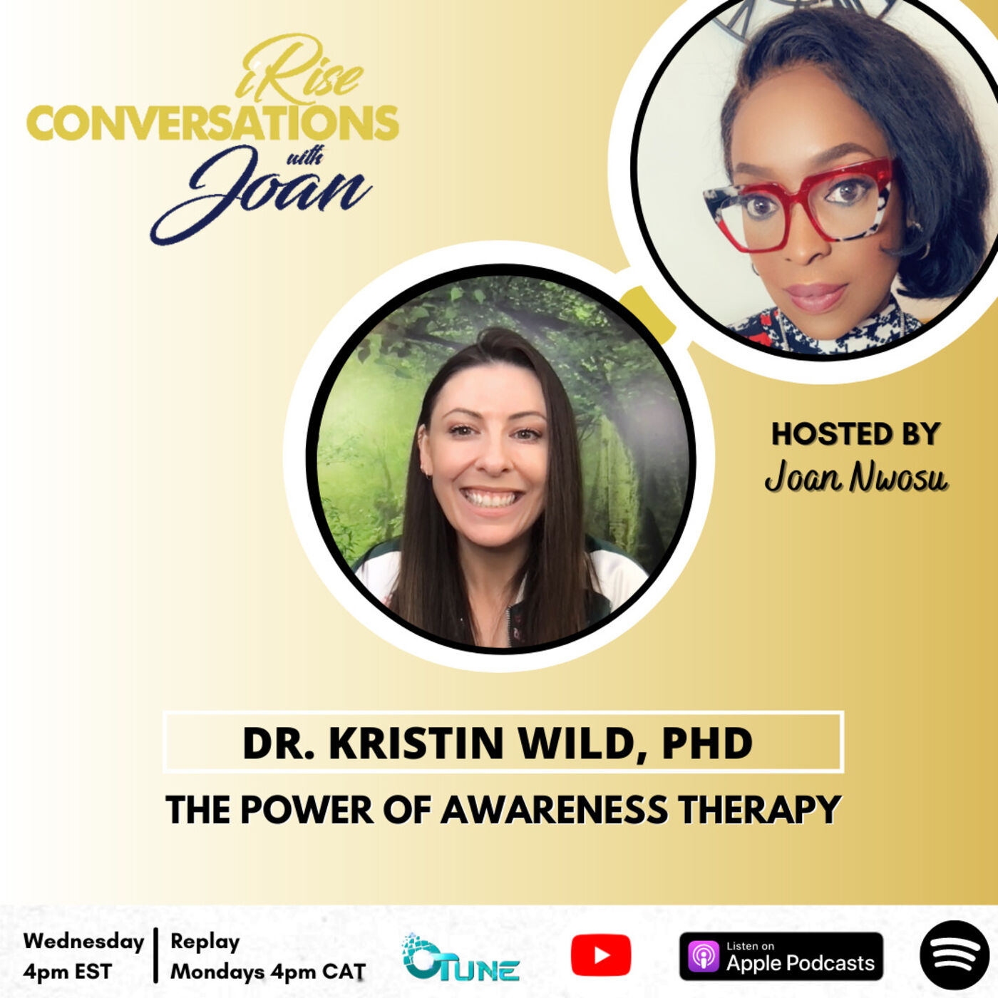 Dr Kristin WIld - The Power of Awareness Therapy