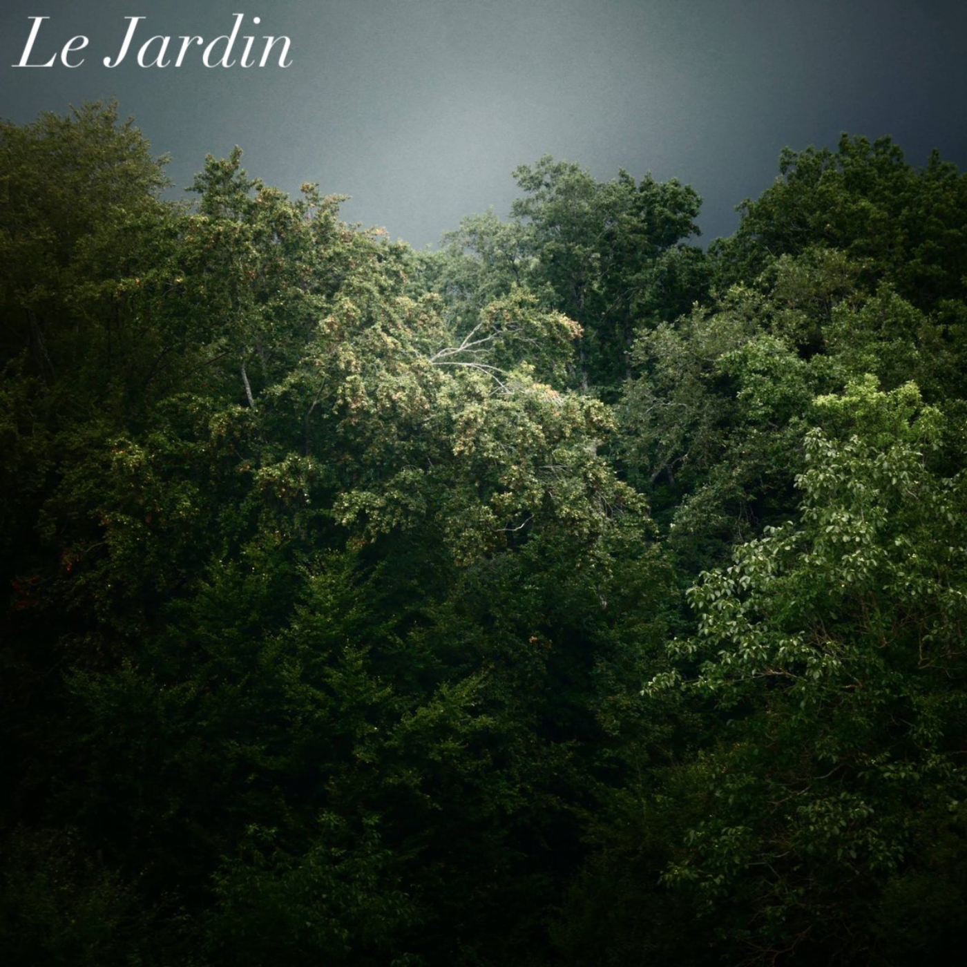 Le Jardin 