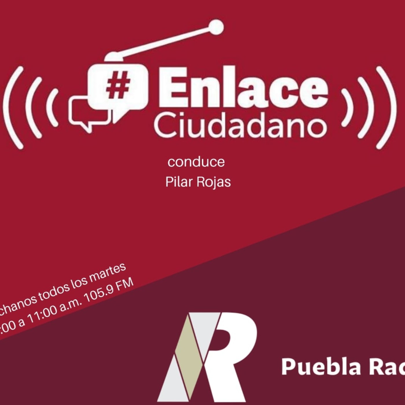 ENLACE CIUDADANO 