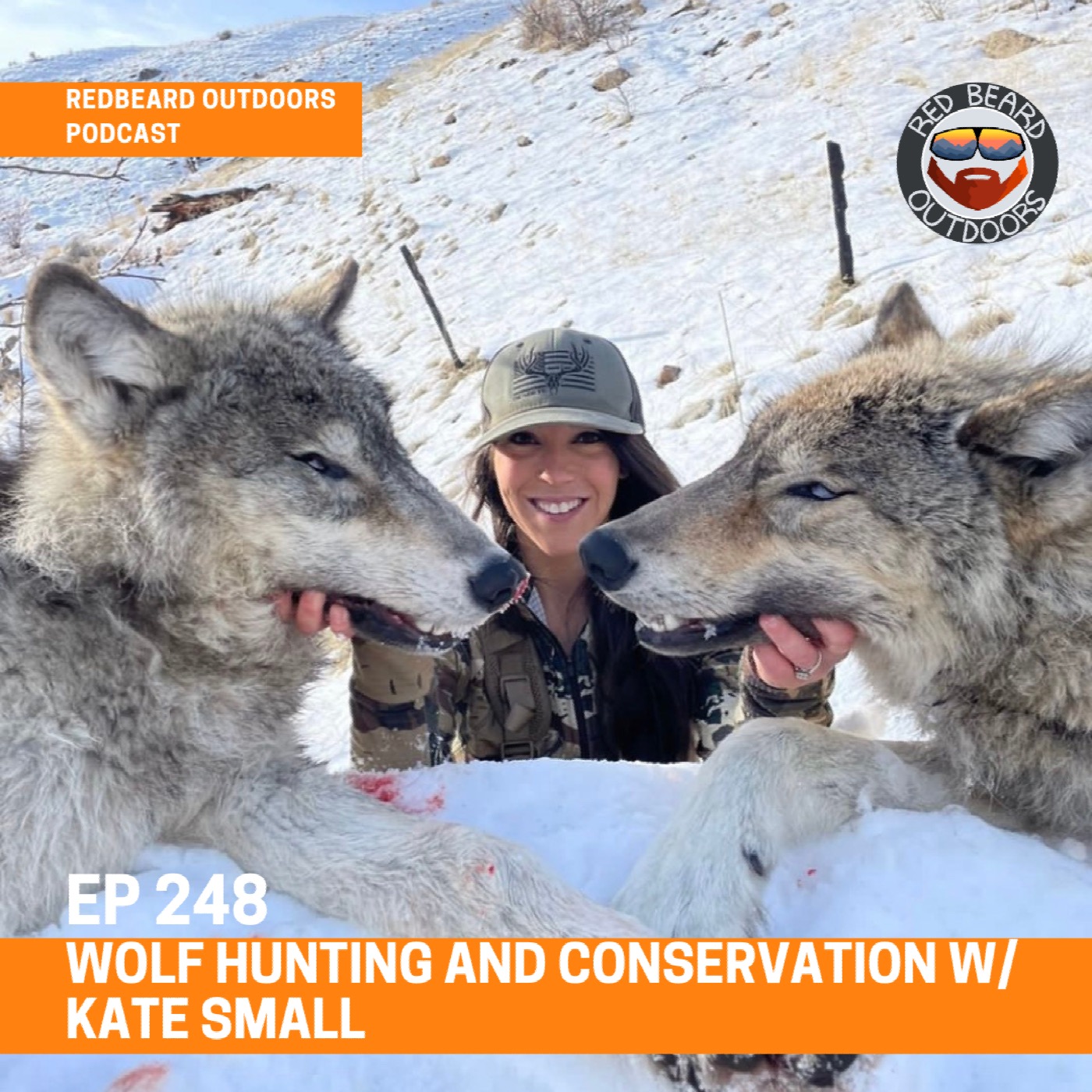 248.  Wolf Hunting and Conservation w/ Kate Small