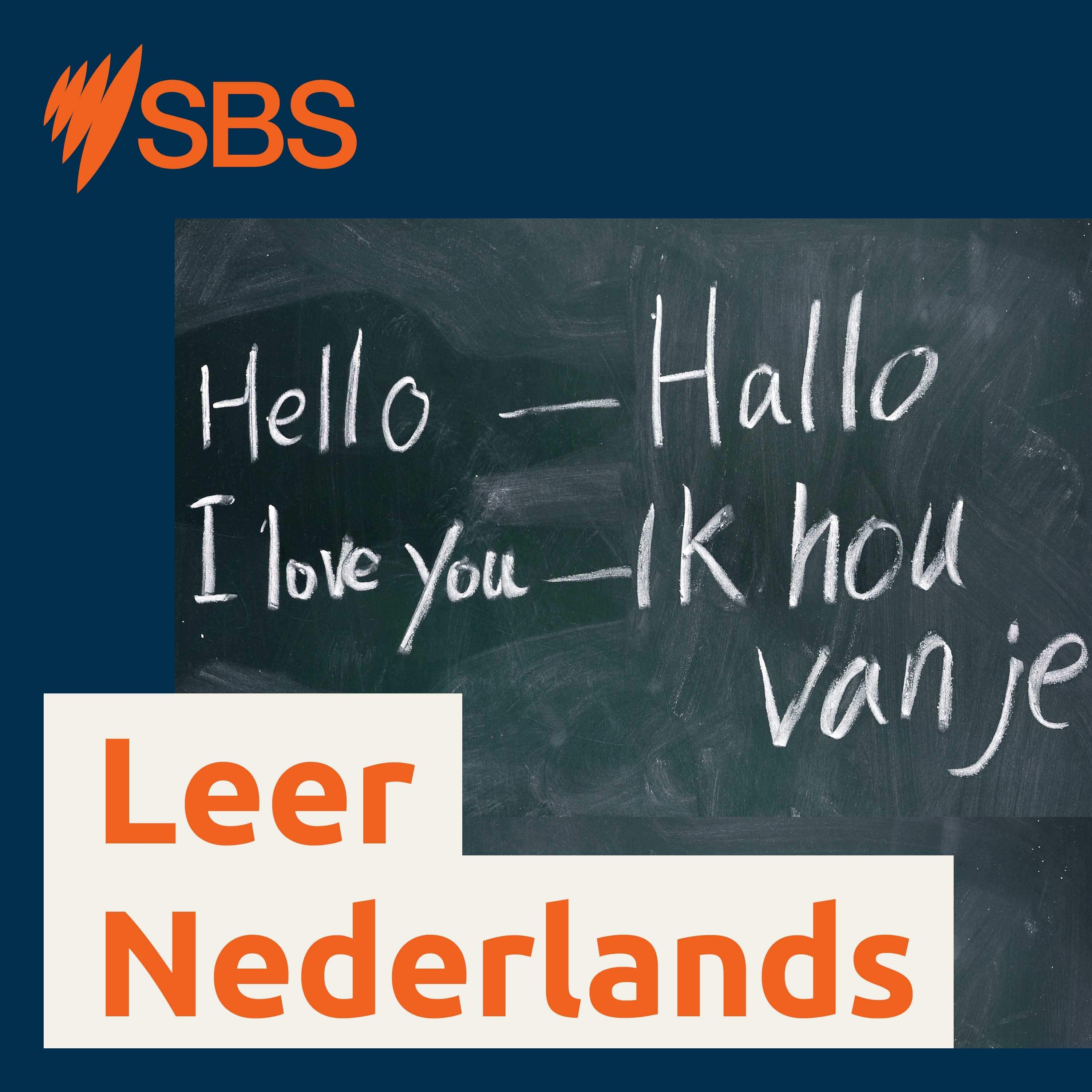 ⁣Learn Dutch - Episode 9: THE in Dutch (de/het/een) - Leer Nederlands - Les 9: lidwoorden (de/het/een)