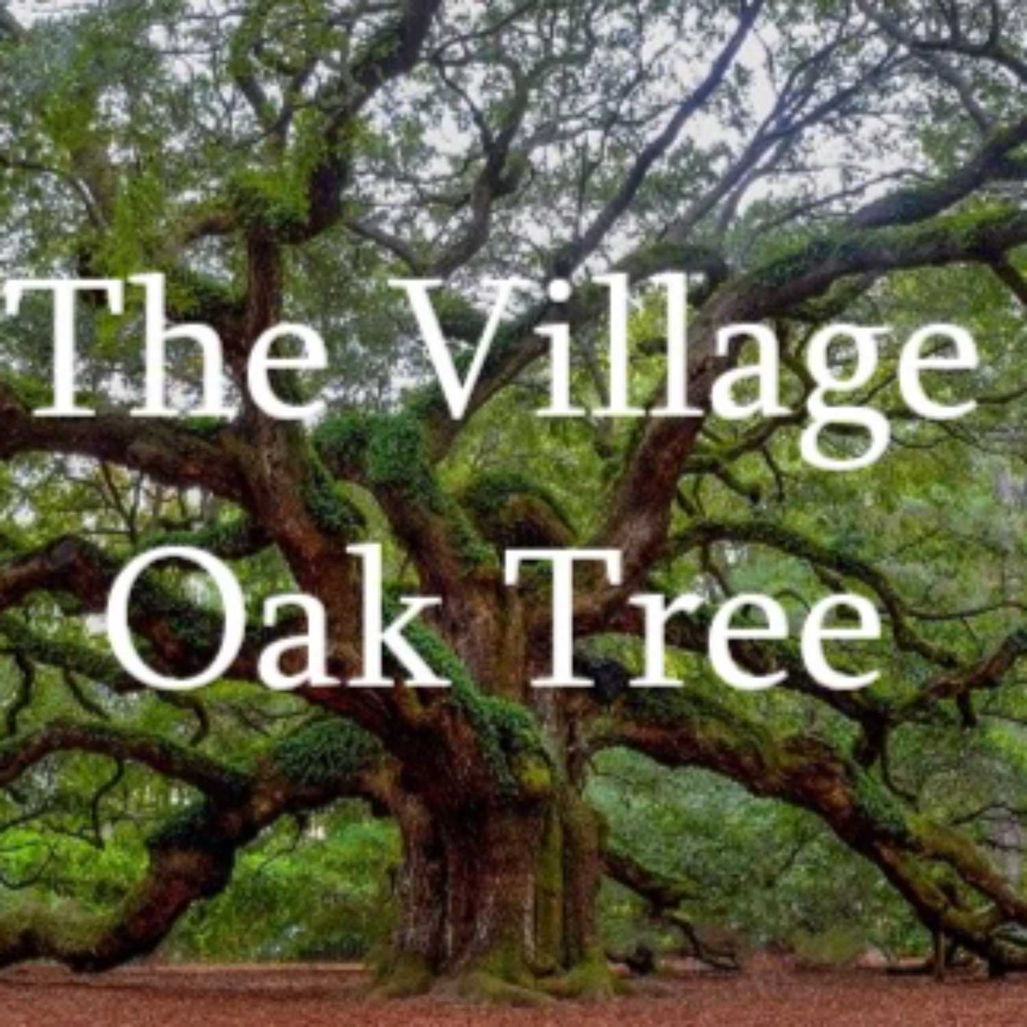 The Village Oak Tree for August 23rd, 2023